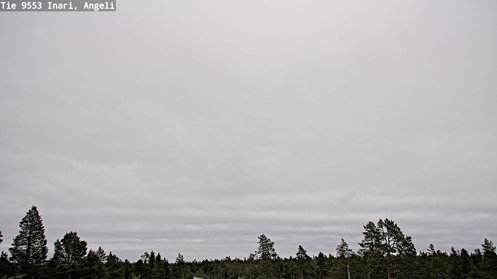 Weather Camera Image Road 9553 Inari, Angeli, Lintupuolivaara, Inari, Lappi