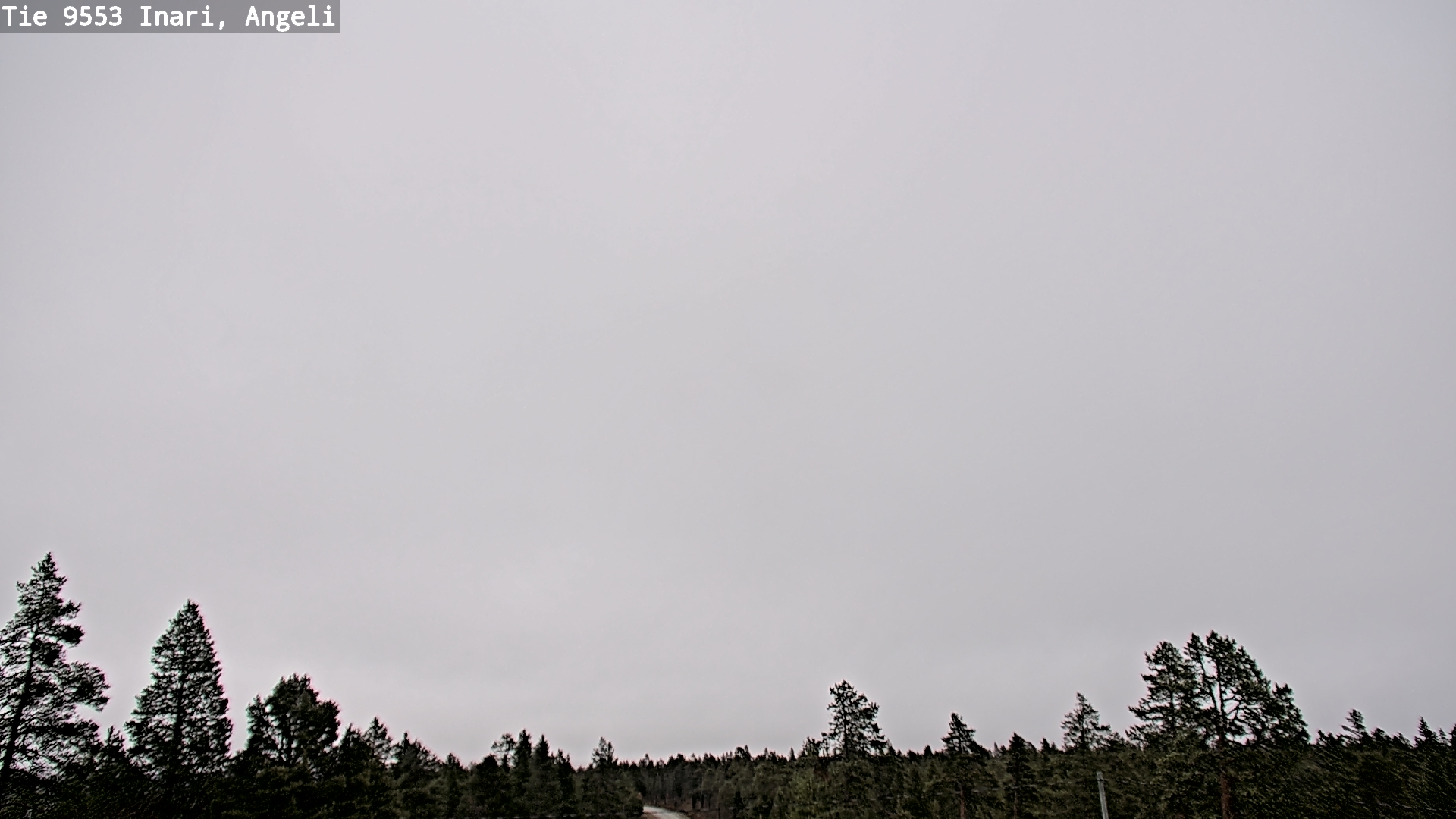 Weather Camera Image Road 9553 Inari, Angeli, Lintupuolivaara, Inari, Lappi