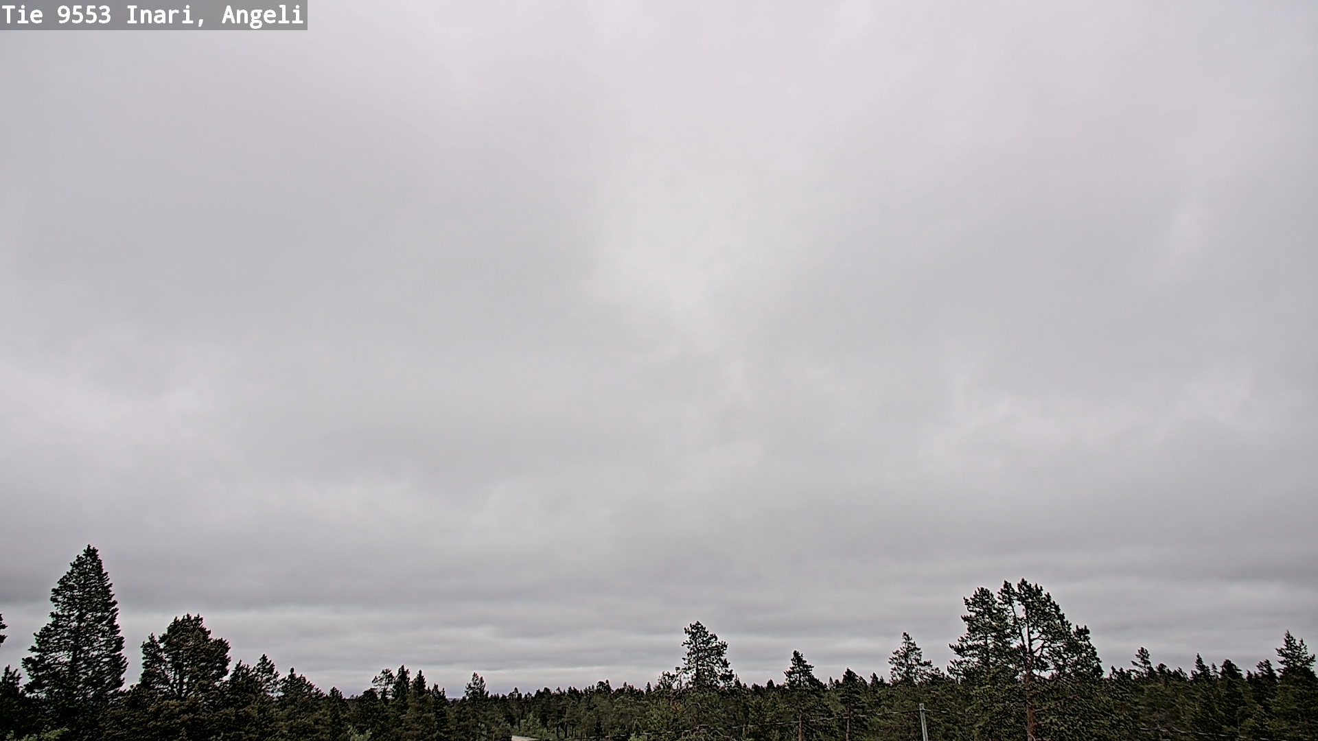 Kelikamerat Kuva Tie 9553 Inari, Angeli, Lintupuolivaara, Inari, Lappi