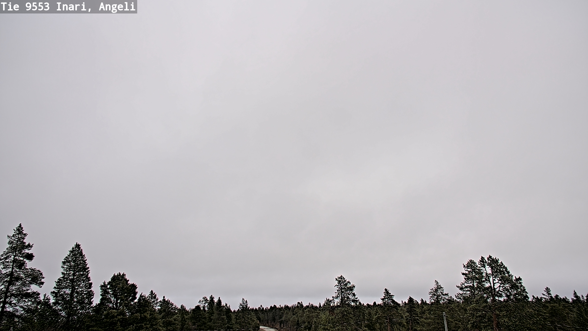 Weather Camera Image Road 9553 Inari, Angeli, Lintupuolivaara, Inari, Lappi