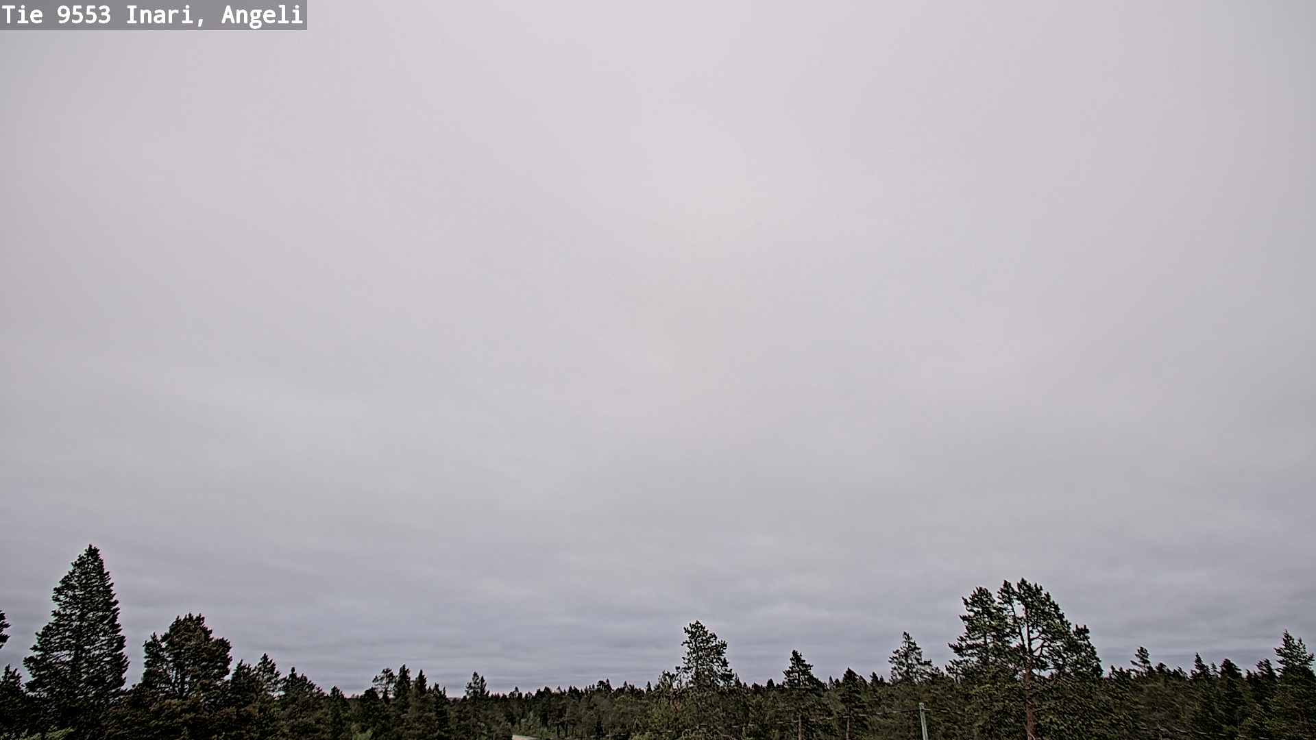 Kelikamerat Kuva Tie 9553 Inari, Angeli, Lintupuolivaara, Inari, Lappi