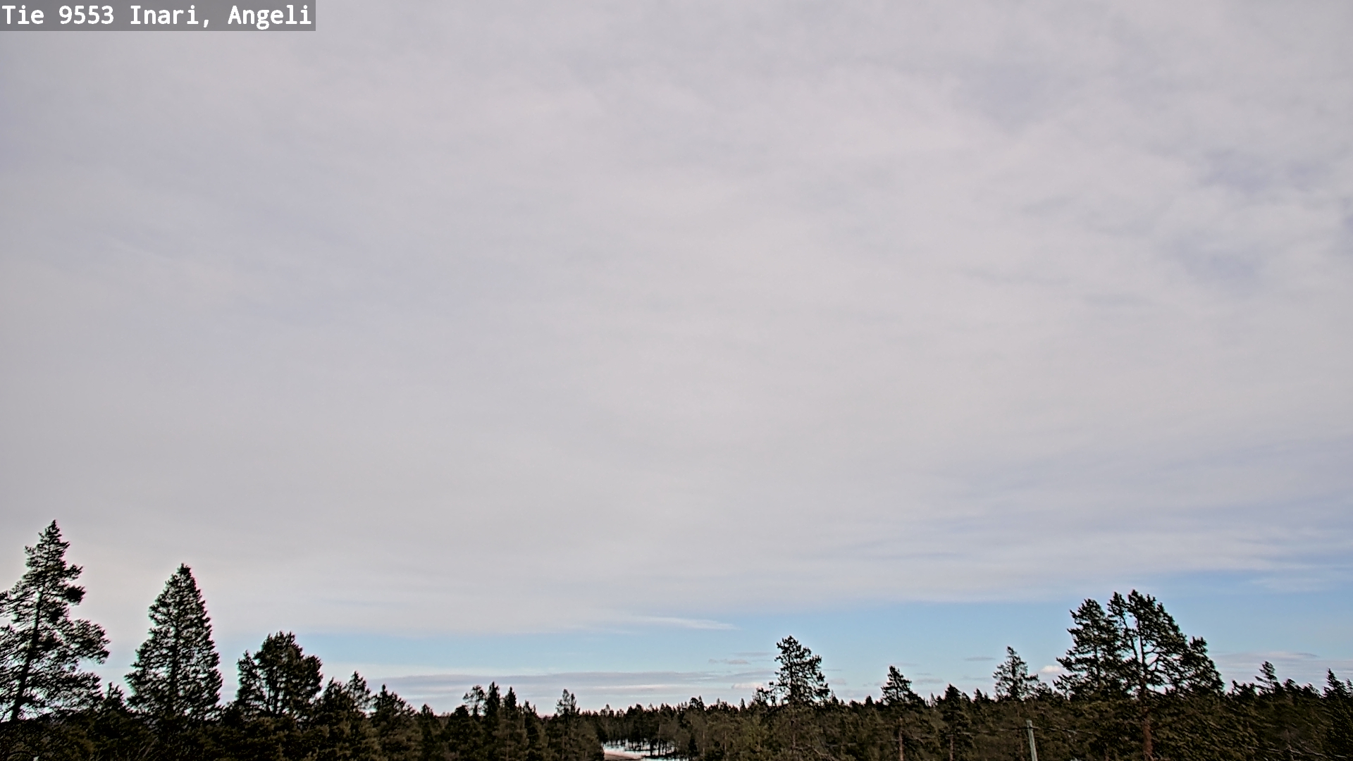 Weather Camera Image Road 9553 Inari, Angeli, Lintupuolivaara, Inari, Lappi