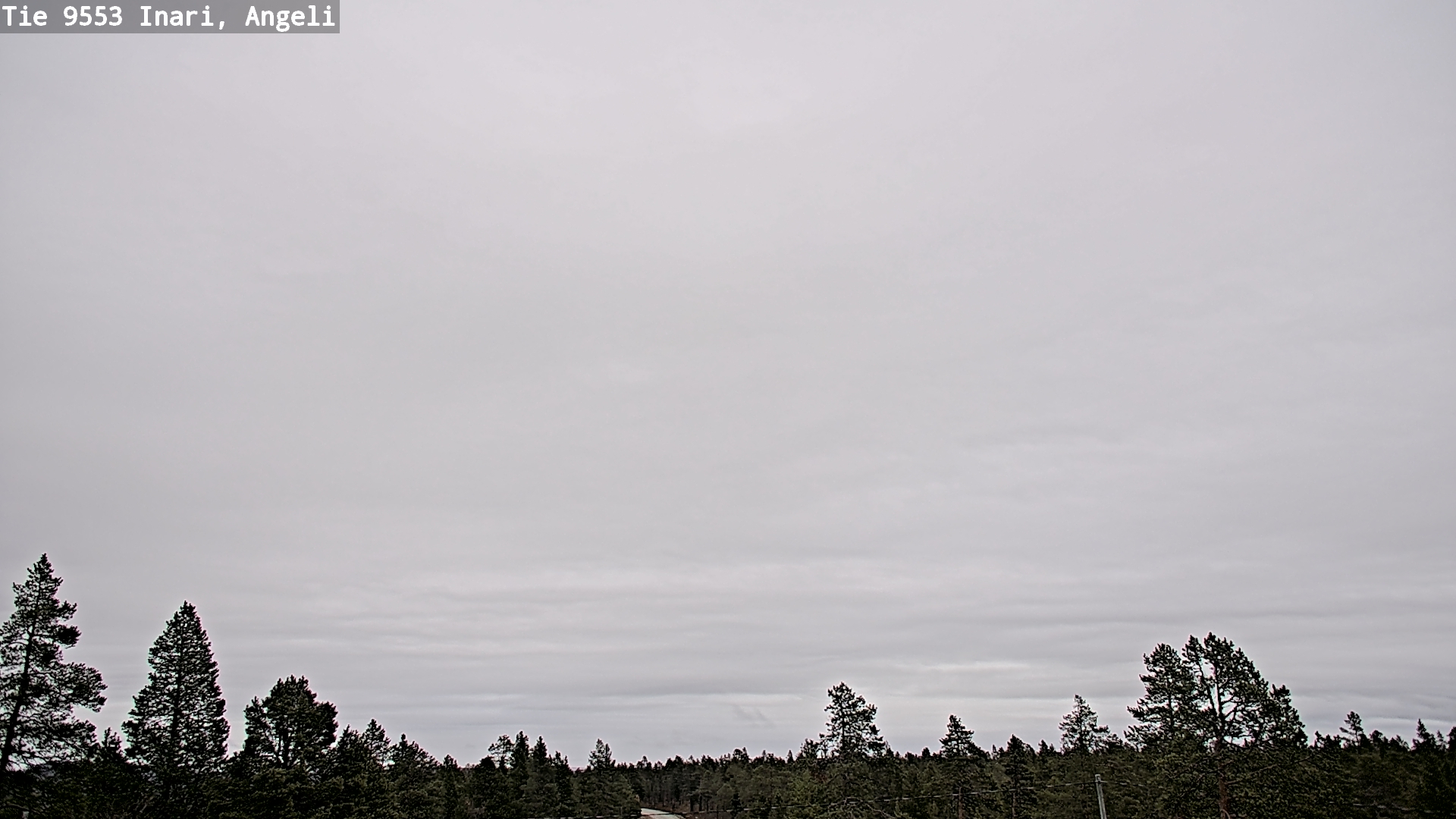 Kelikamerat Kuva Tie 9553 Inari, Angeli, Lintupuolivaara, Inari, Lappi