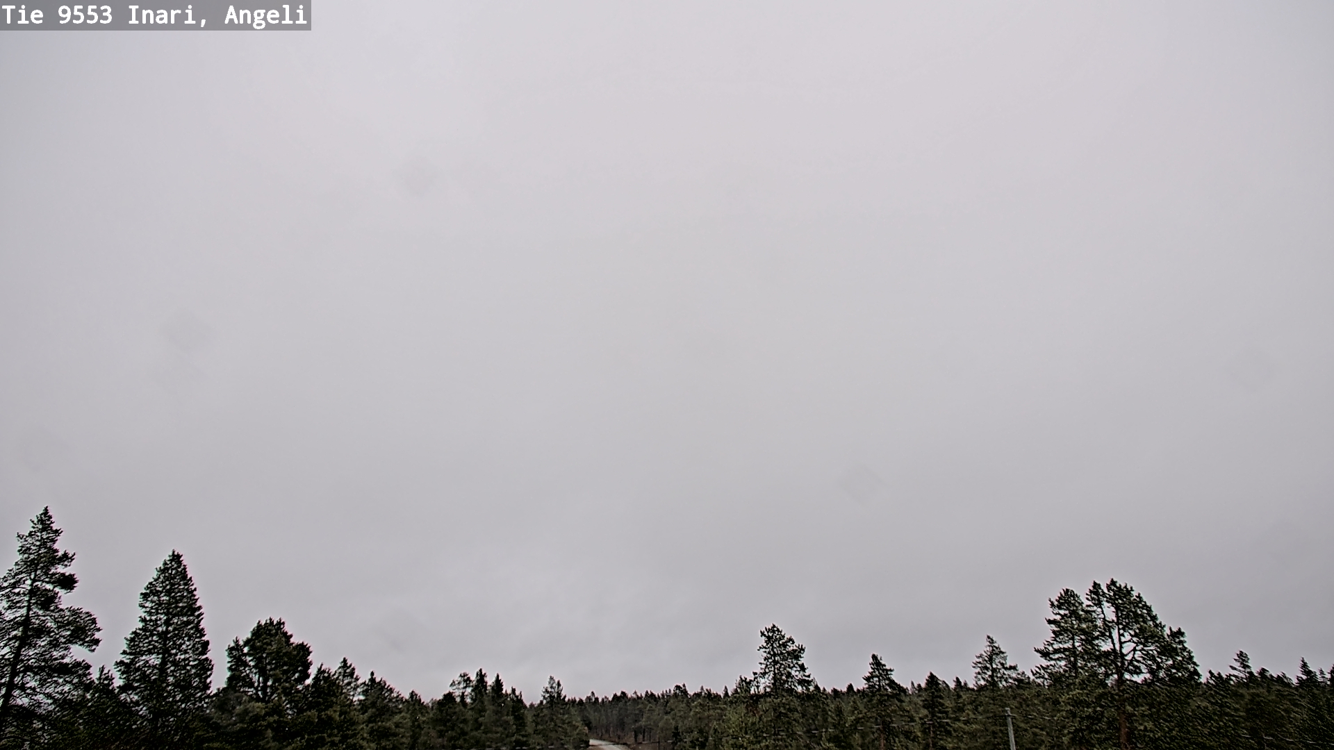 Weather Camera Image Road 9553 Inari, Angeli, Lintupuolivaara, Inari, Lappi
