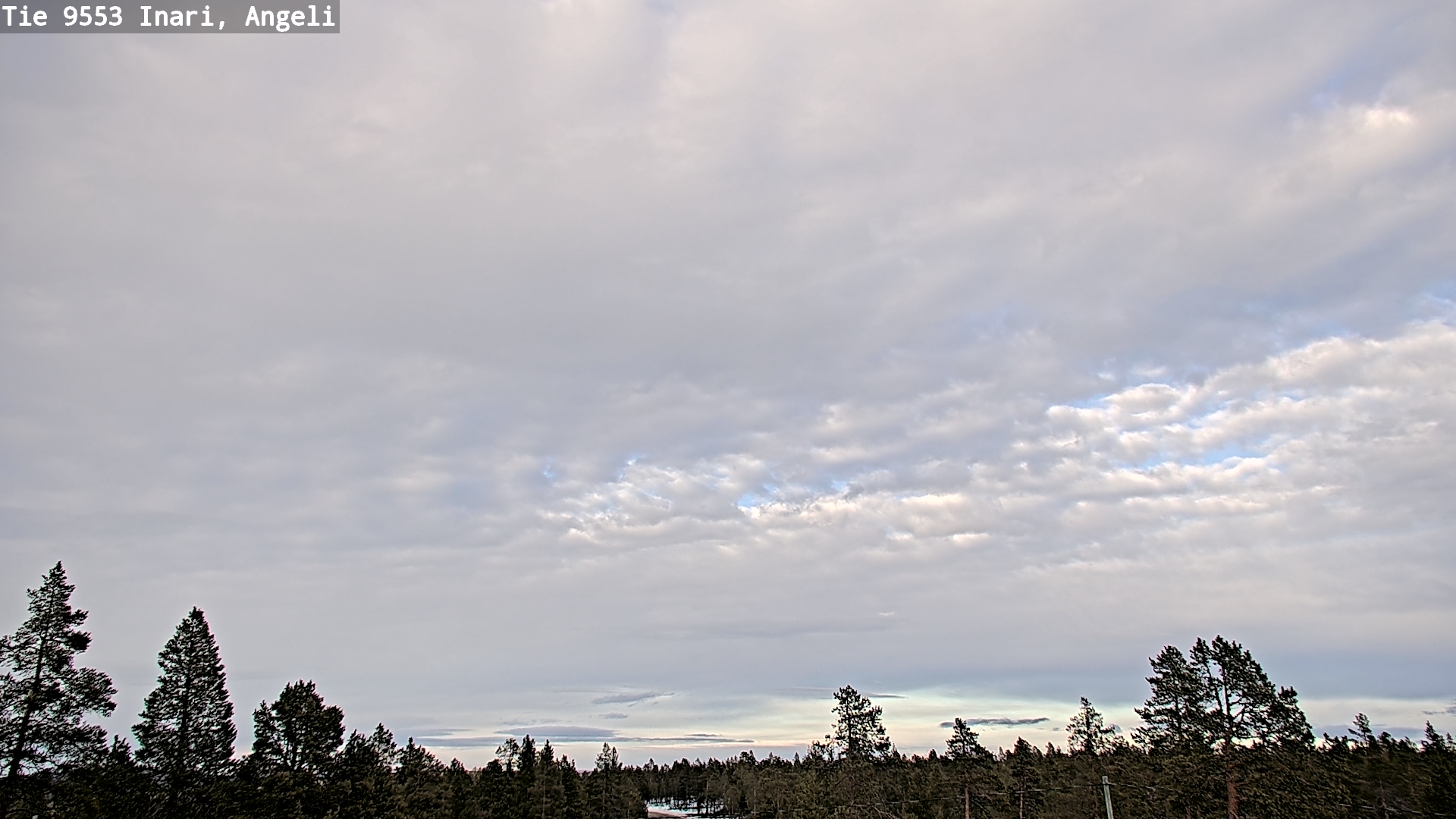 Weather Camera Image Road 9553 Inari, Angeli, Lintupuolivaara, Inari, Lappi