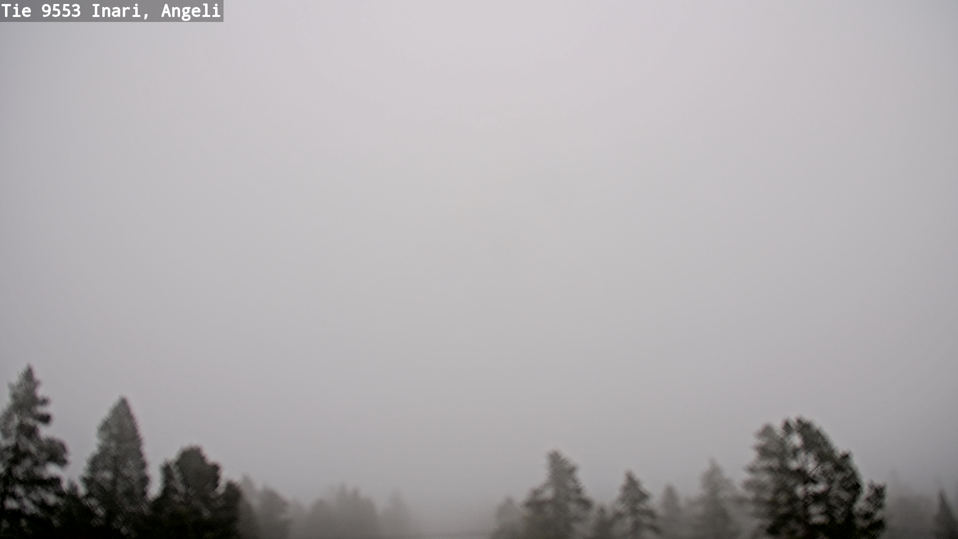 Weather Camera Image Road 9553 Inari, Angeli, Lintupuolivaara, Inari, Lappi