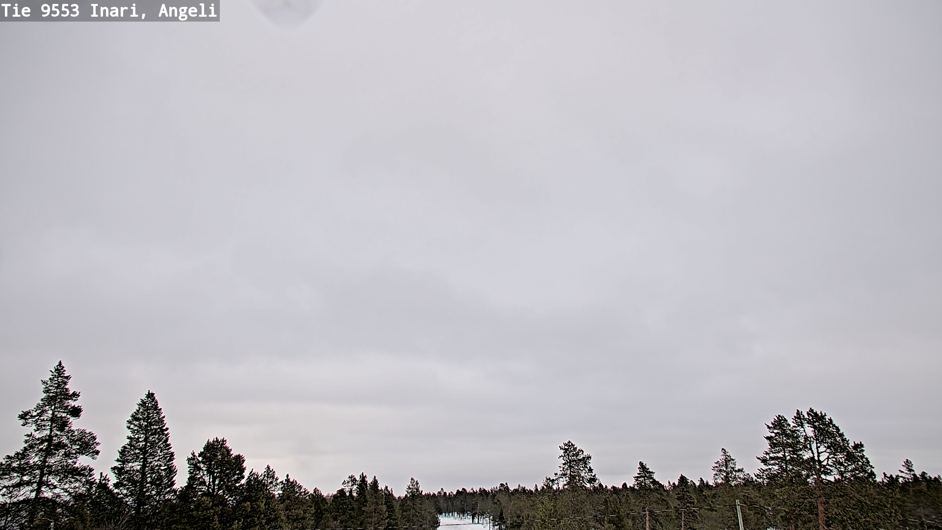 Kelikamerat Kuva Tie 9553 Inari, Angeli, Lintupuolivaara, Inari, Lappi