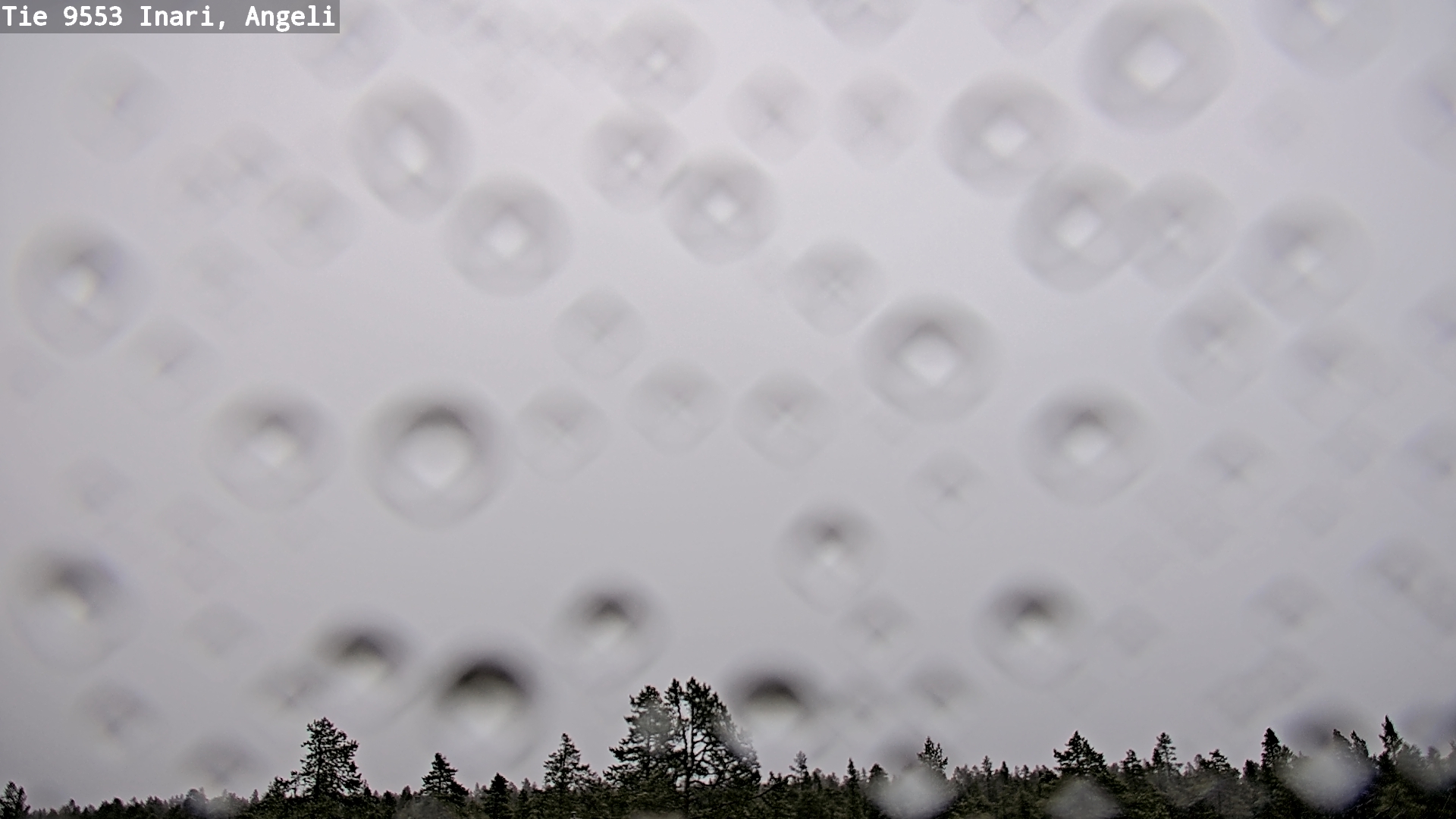 Kelikamerat Kuva Tie 9553 Inari, Angeli, Lintupuolivaara, Inari, Lappi