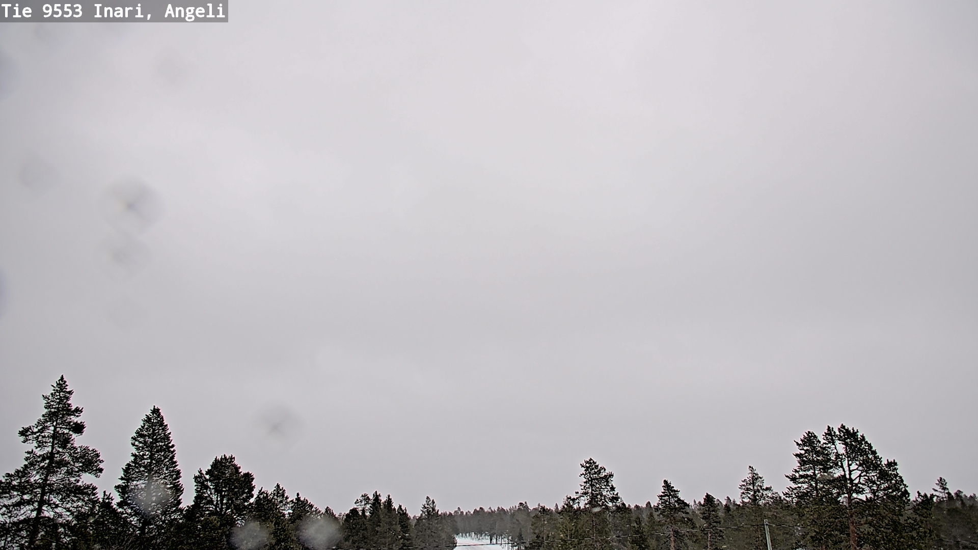 Kelikamerat Kuva Tie 9553 Inari, Angeli, Lintupuolivaara, Inari, Lappi