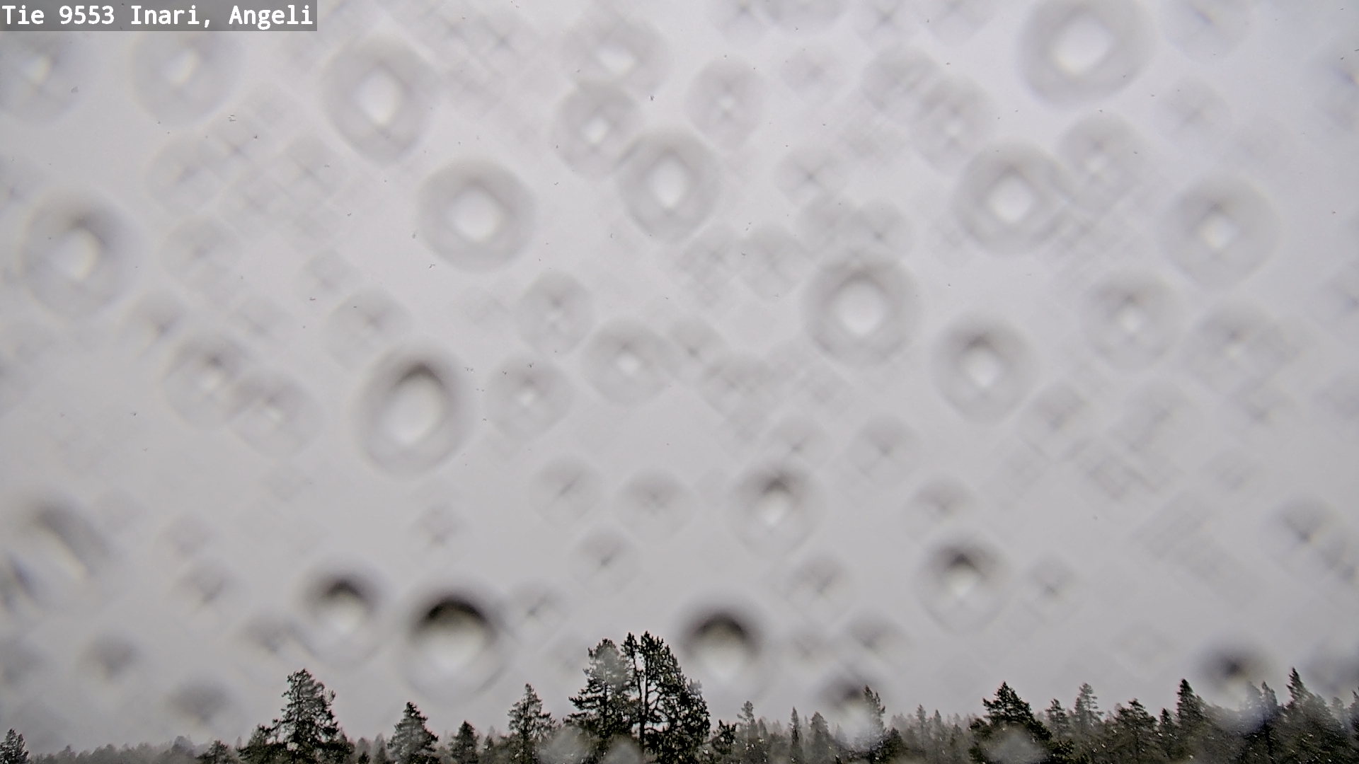 Kelikamerat Kuva Tie 9553 Inari, Angeli, Lintupuolivaara, Inari, Lappi