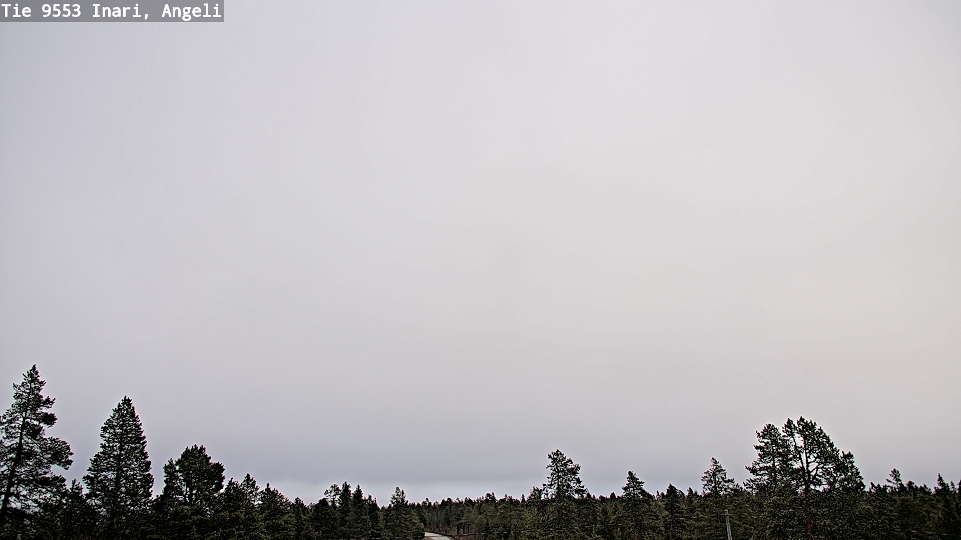 Weather Camera Image Road 9553 Inari, Angeli, Lintupuolivaara, Inari, Lappi