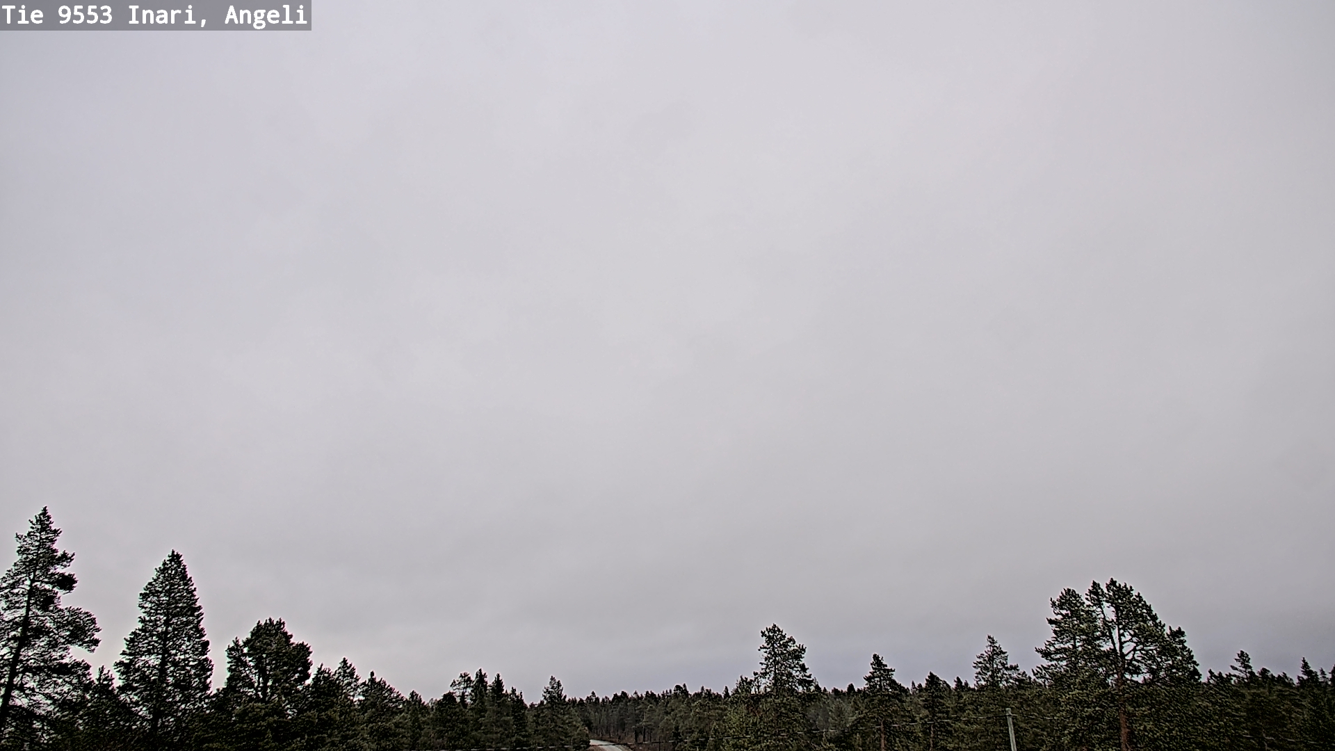 Weather Camera Image Road 9553 Inari, Angeli, Lintupuolivaara, Inari, Lappi