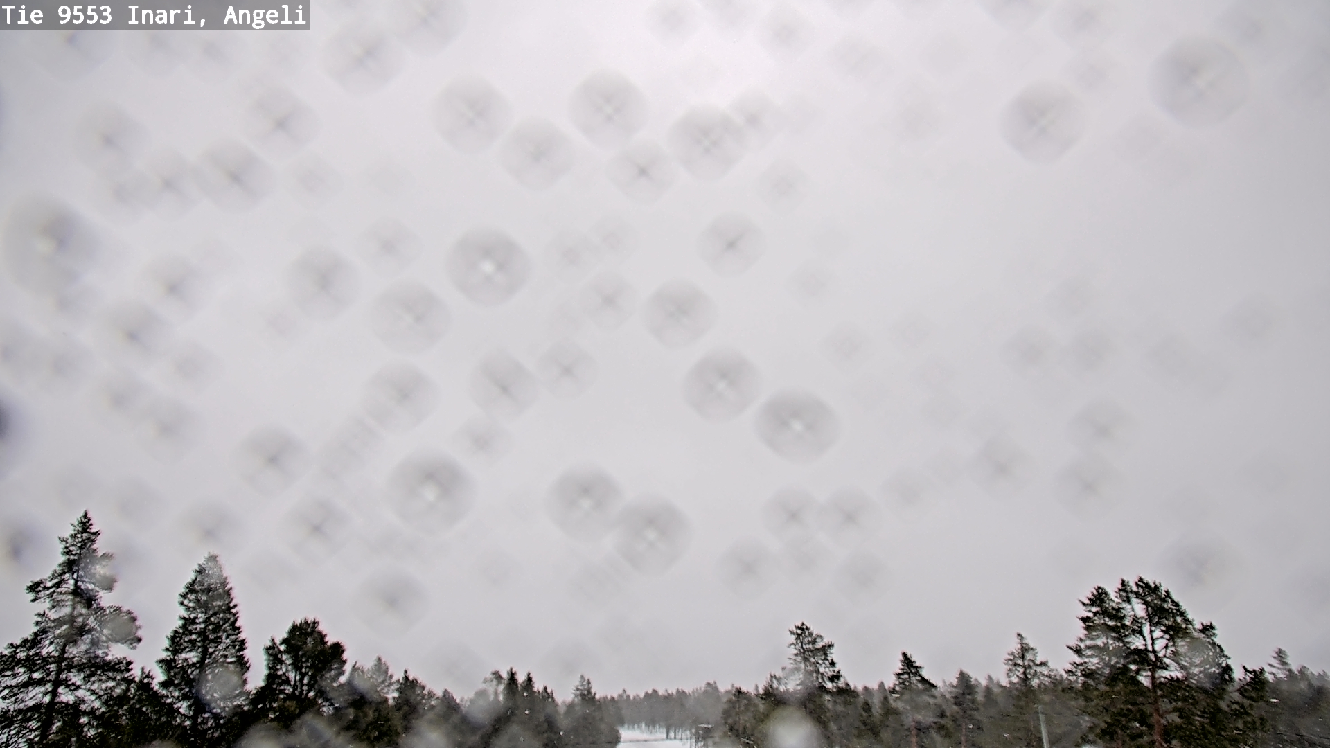 Kelikamerat Kuva Tie 9553 Inari, Angeli, Lintupuolivaara, Inari, Lappi