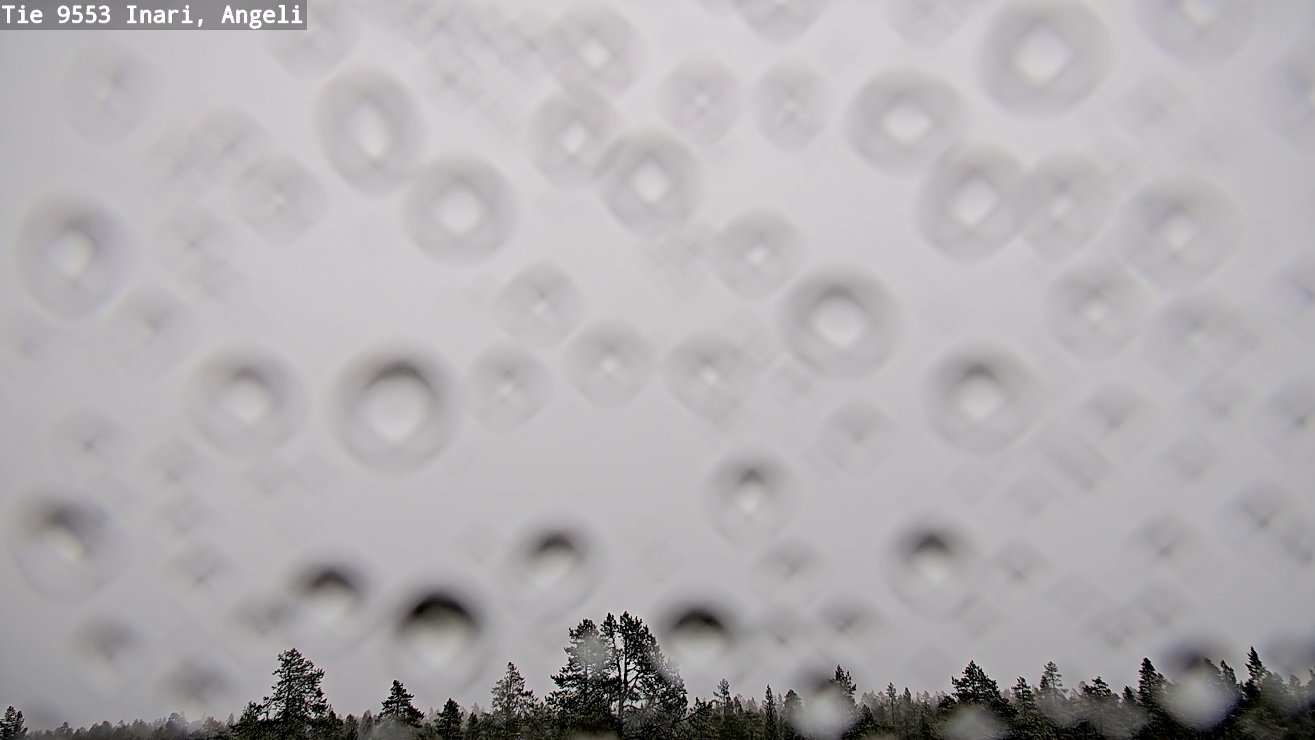 Kelikamerat Kuva Tie 9553 Inari, Angeli, Lintupuolivaara, Inari, Lappi