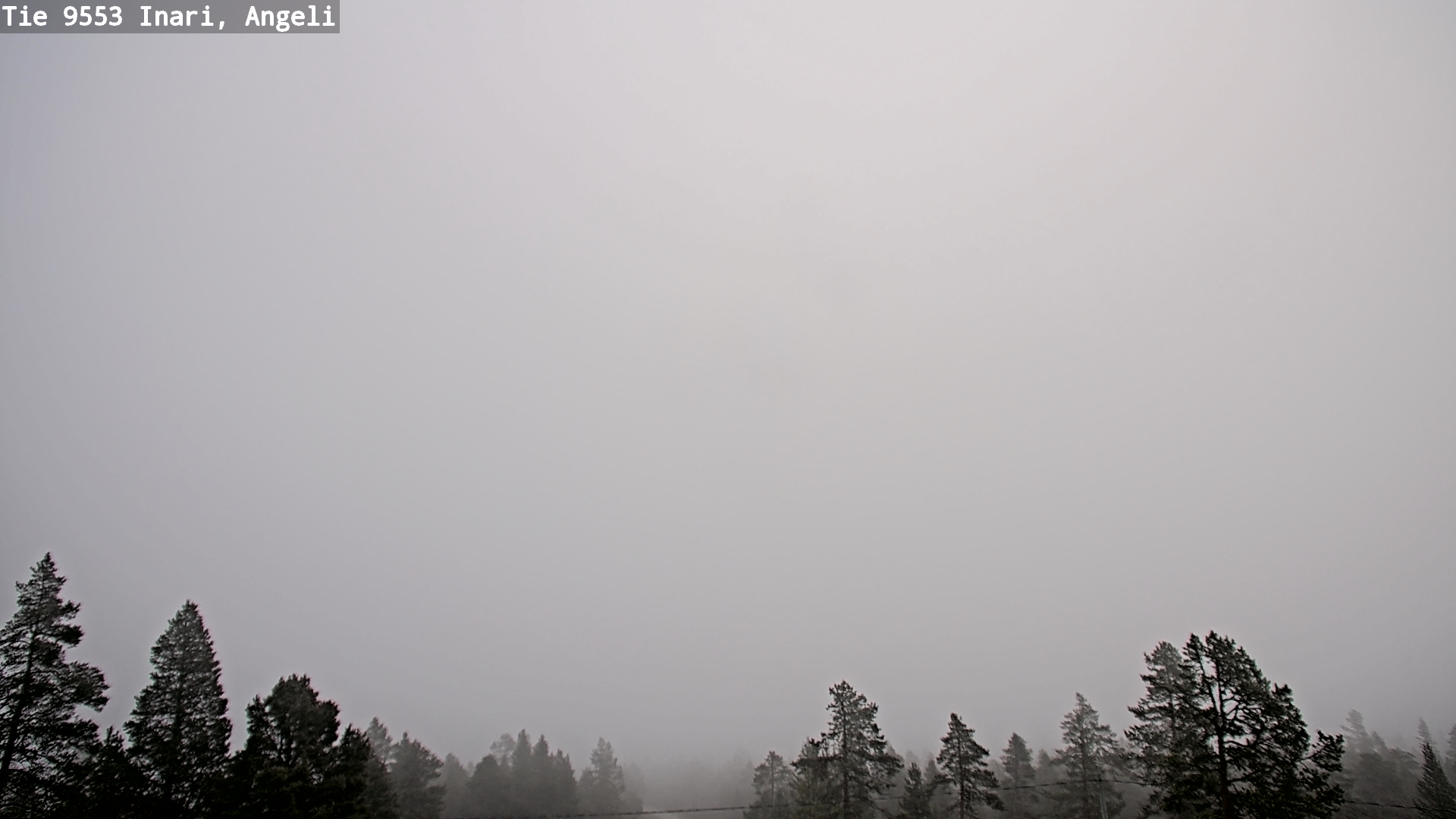 Weather Camera Image Road 9553 Inari, Angeli, Lintupuolivaara, Inari, Lappi
