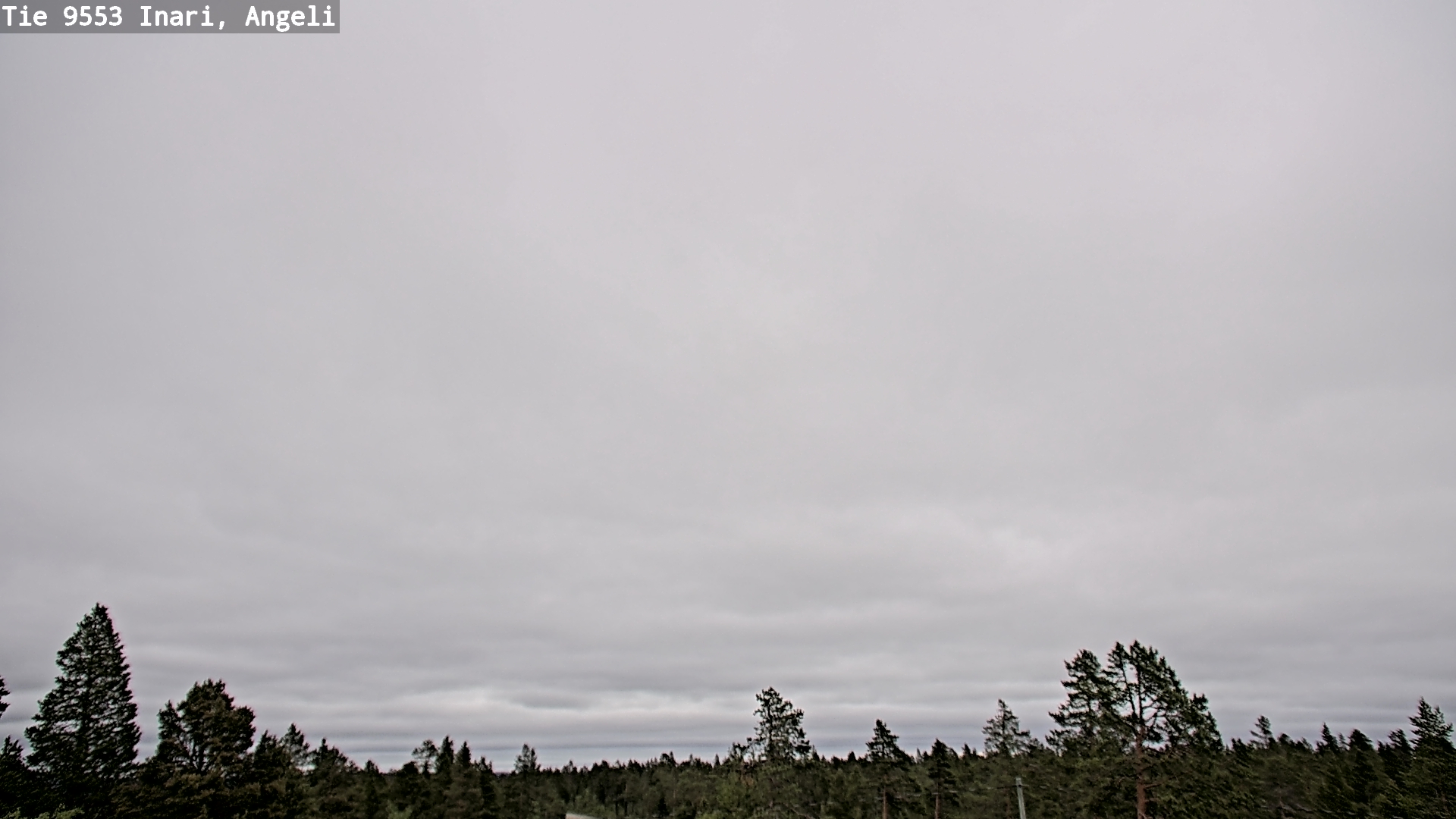 Weather Camera Image Road 9553 Inari, Angeli, Lintupuolivaara, Inari, Lappi