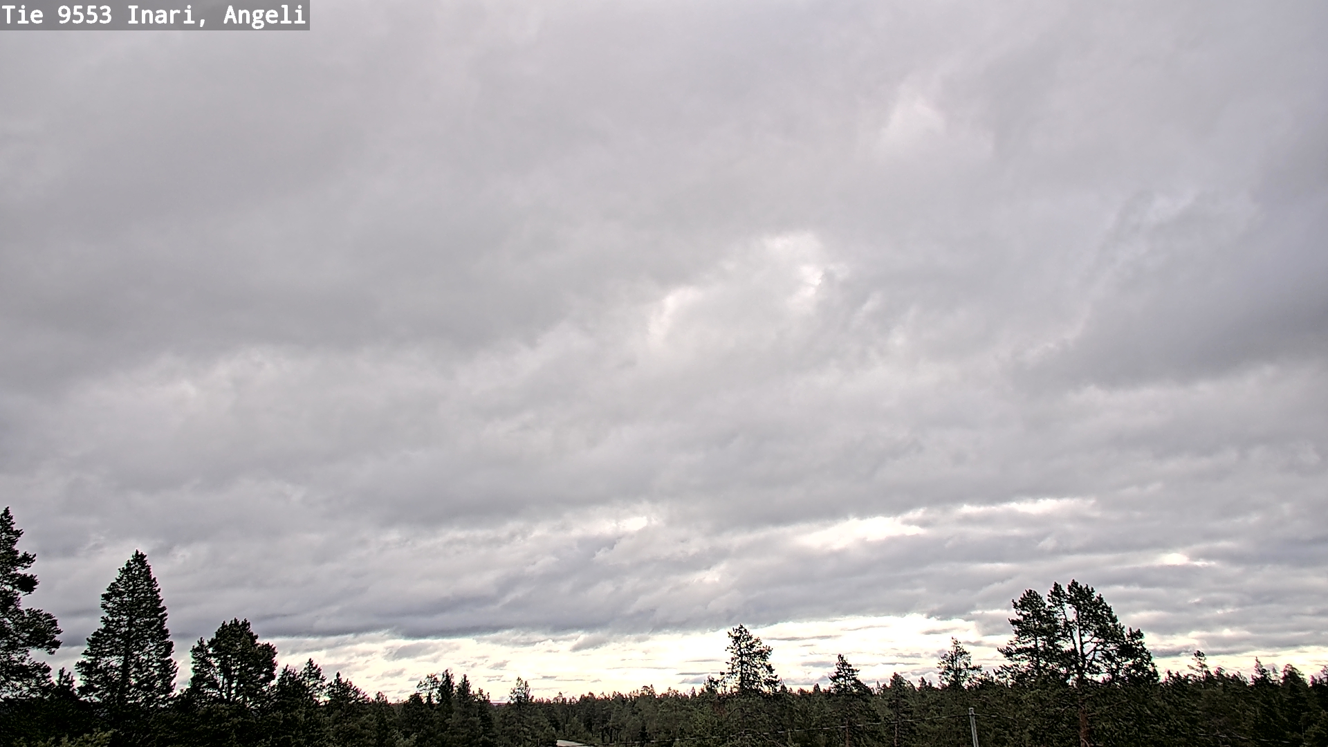 Weather Camera Image Road 9553 Inari, Angeli, Lintupuolivaara, Inari, Lappi