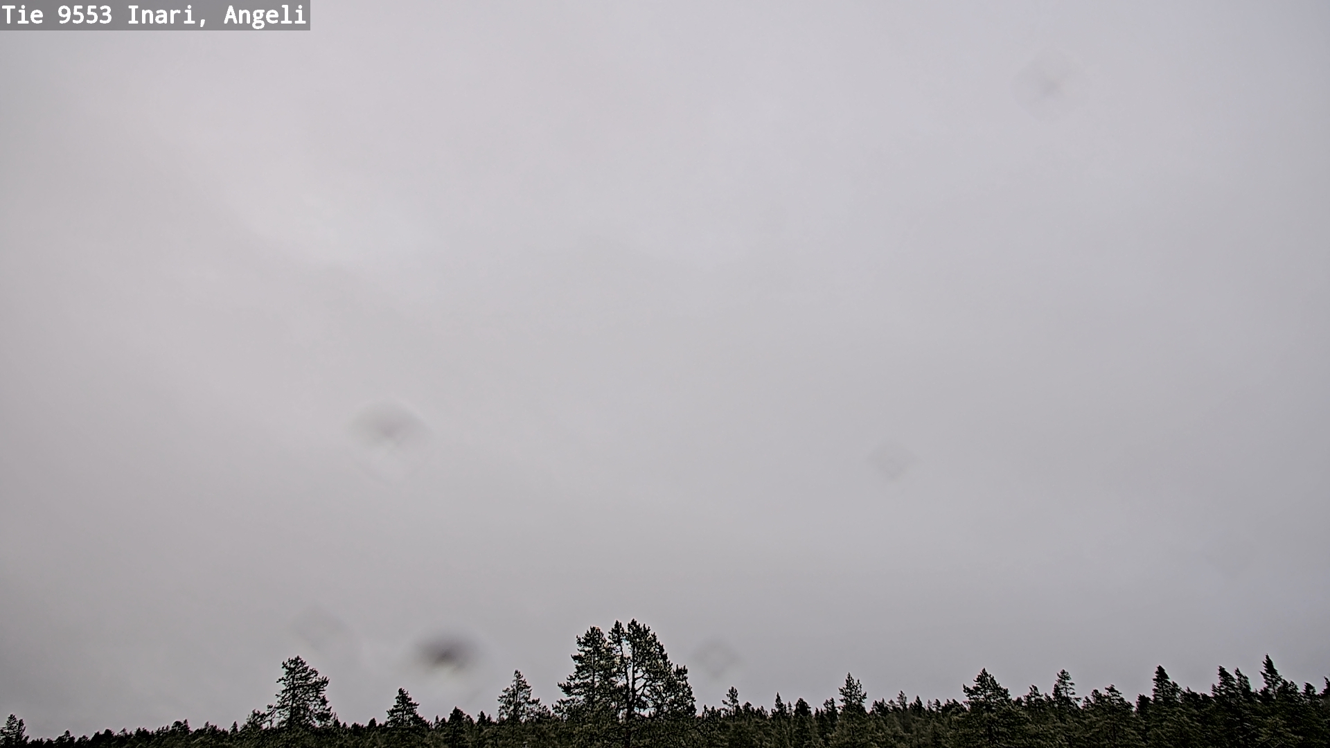 Kelikamerat Kuva Tie 9553 Inari, Angeli, Lintupuolivaara, Inari, Lappi