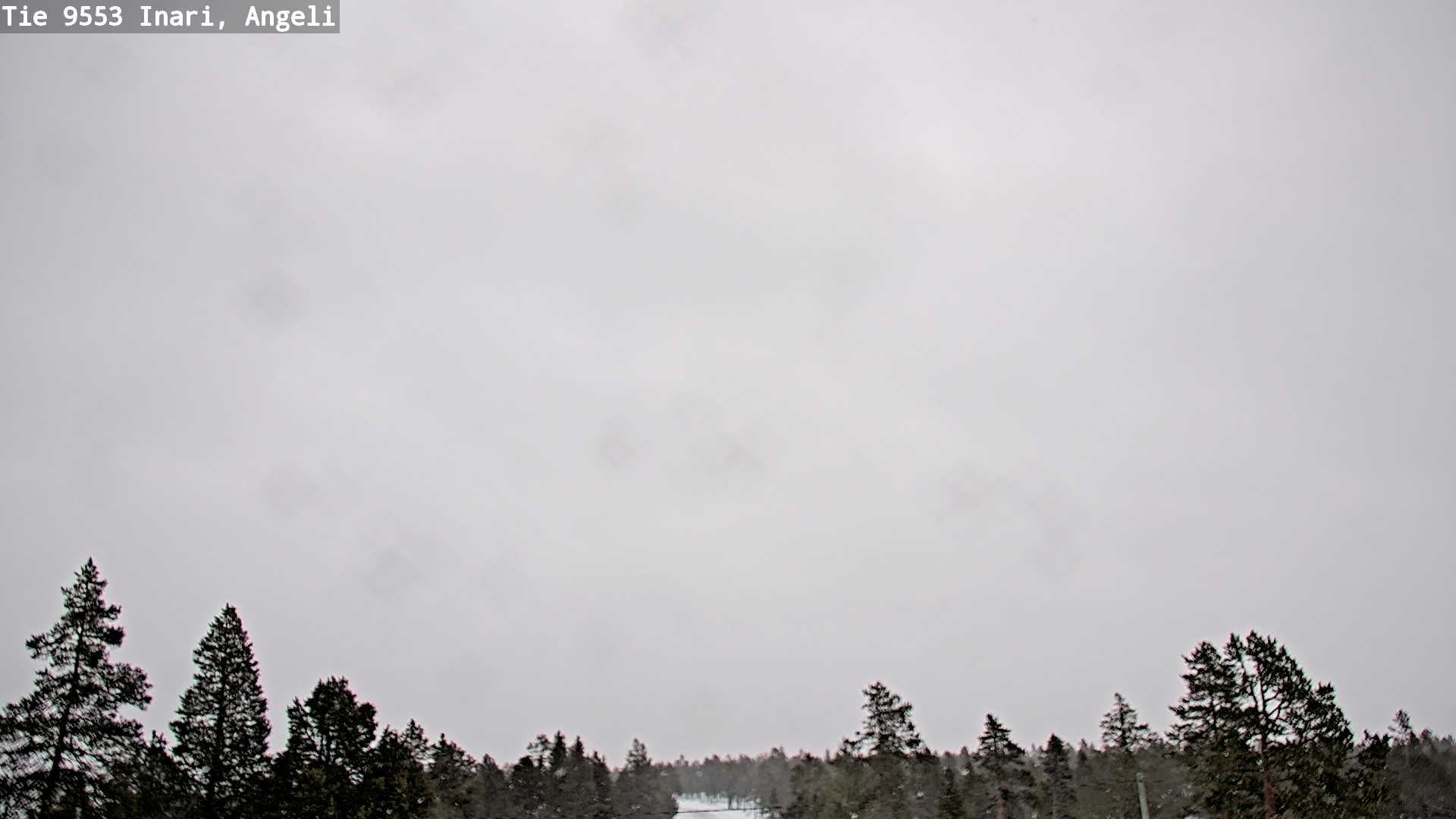 Kelikamerat Kuva Tie 9553 Inari, Angeli, Lintupuolivaara, Inari, Lappi