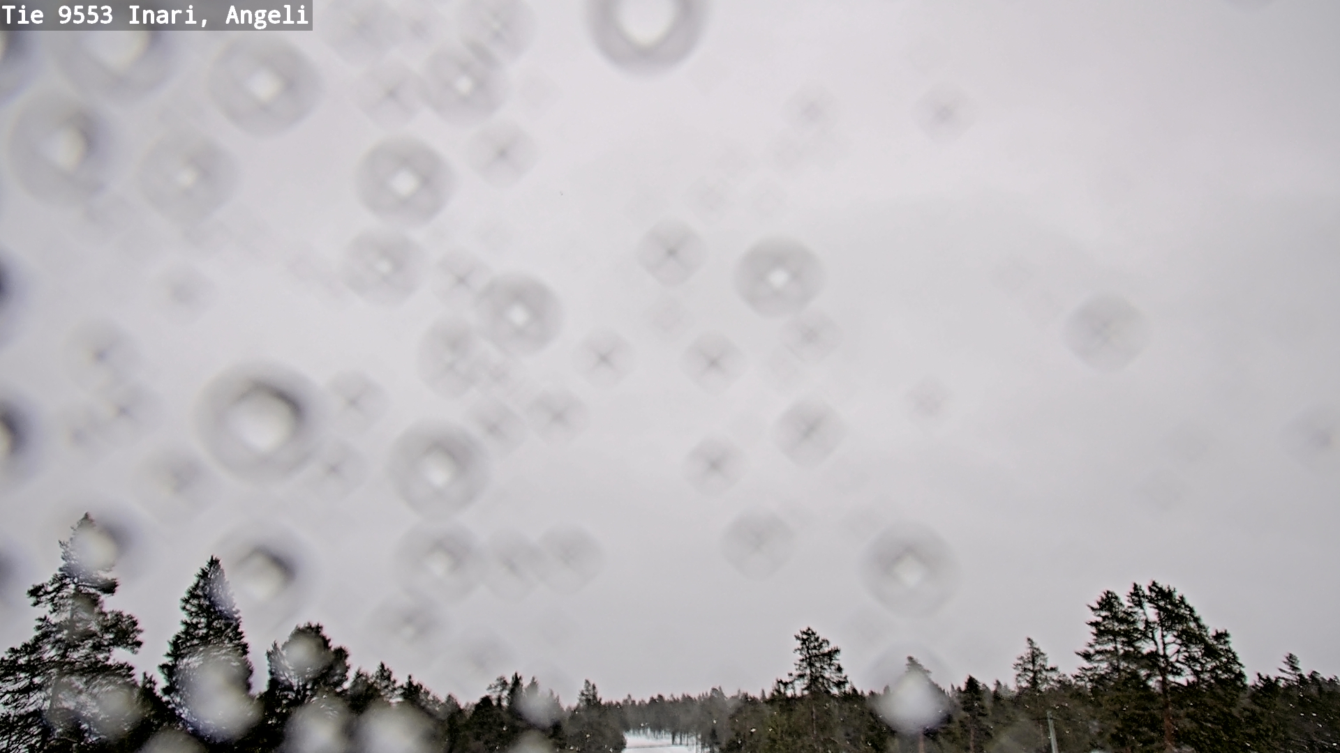 Kelikamerat Kuva Tie 9553 Inari, Angeli, Lintupuolivaara, Inari, Lappi