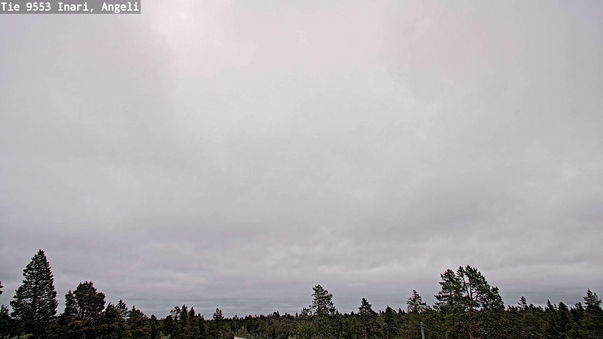 Kelikamerat Kuva Tie 9553 Inari, Angeli, Lintupuolivaara, Inari, Lappi