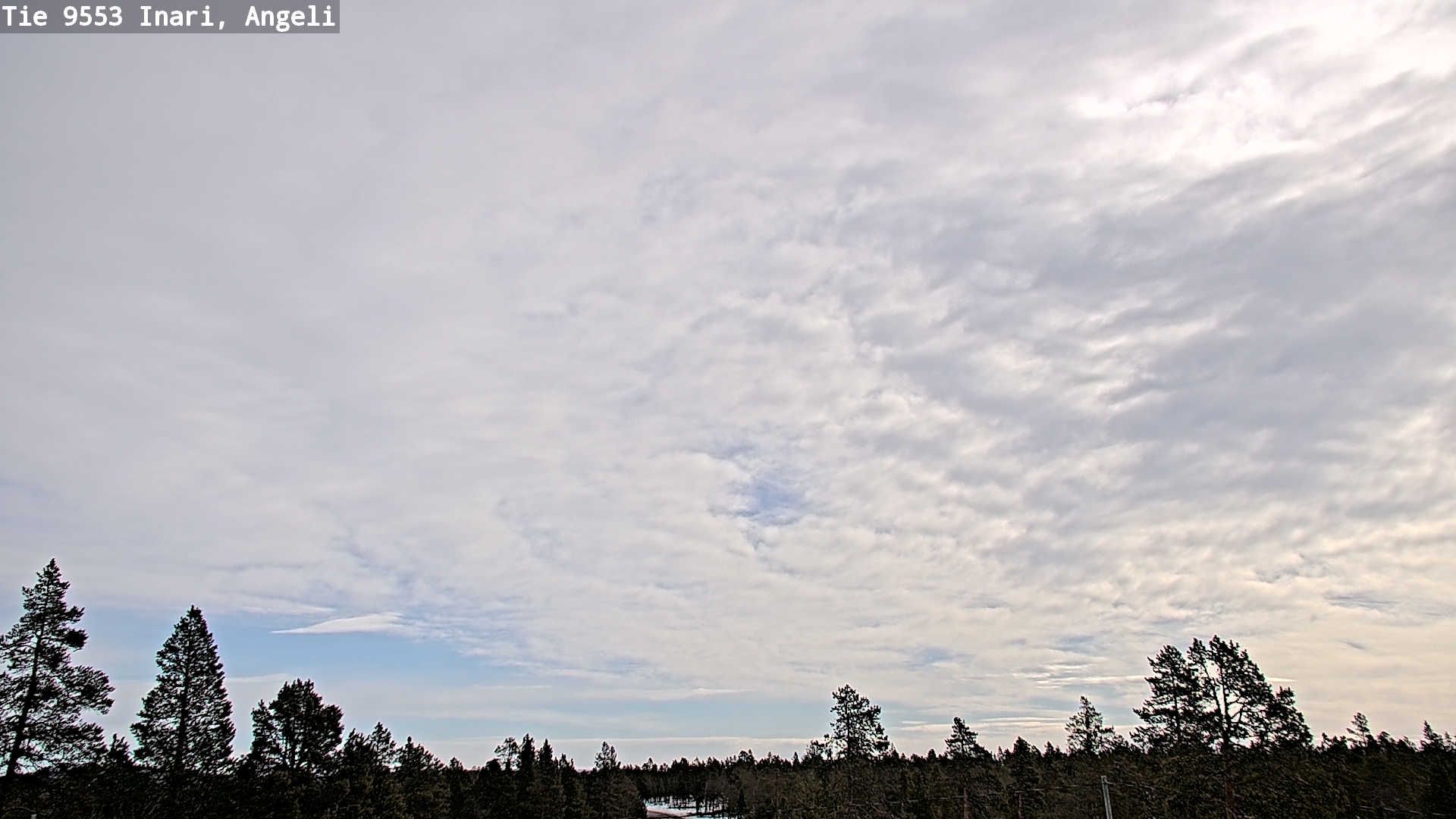 Weather Camera Image Road 9553 Inari, Angeli, Lintupuolivaara, Inari, Lappi