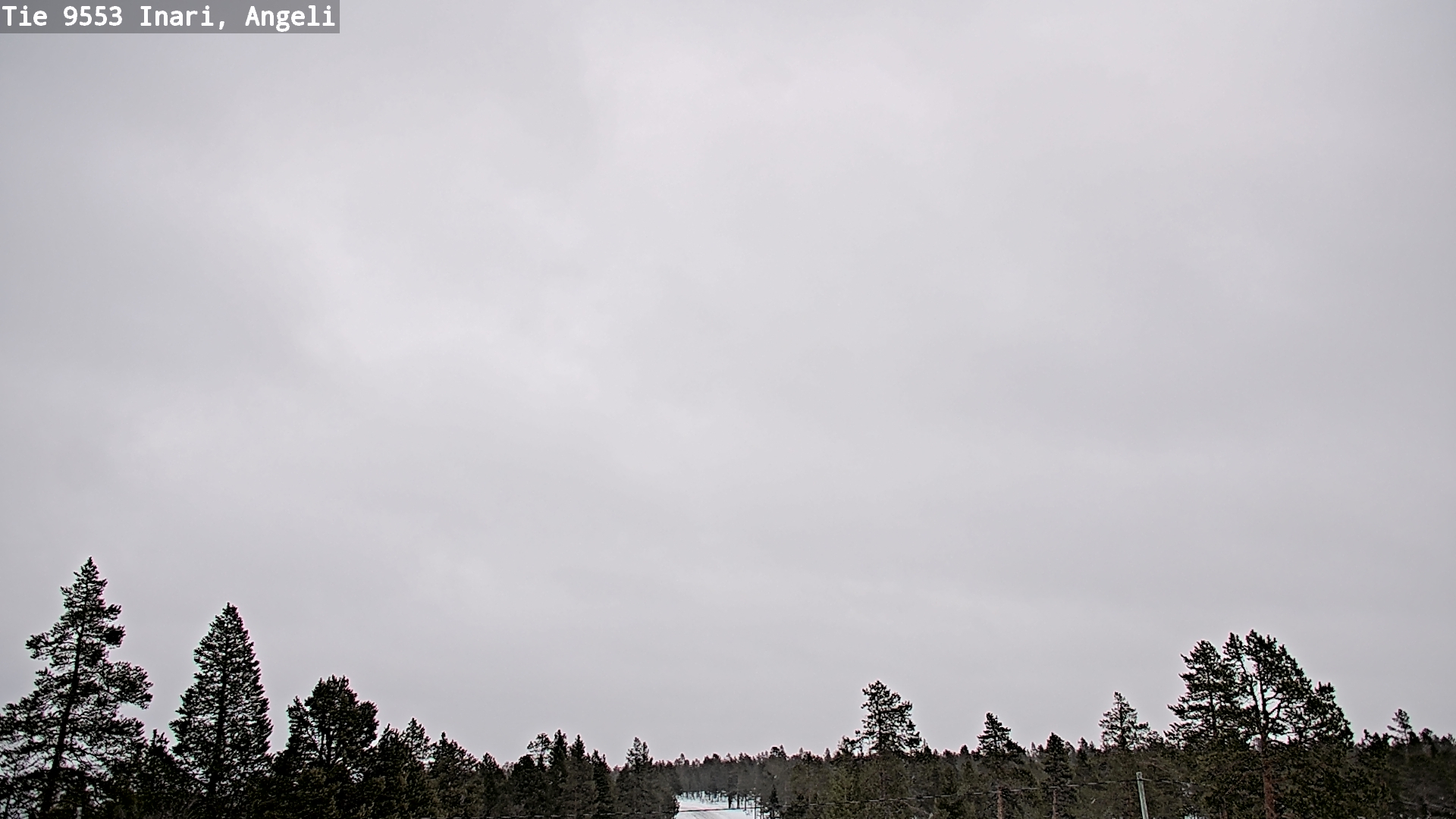 Kelikamerat Kuva Tie 9553 Inari, Angeli, Lintupuolivaara, Inari, Lappi