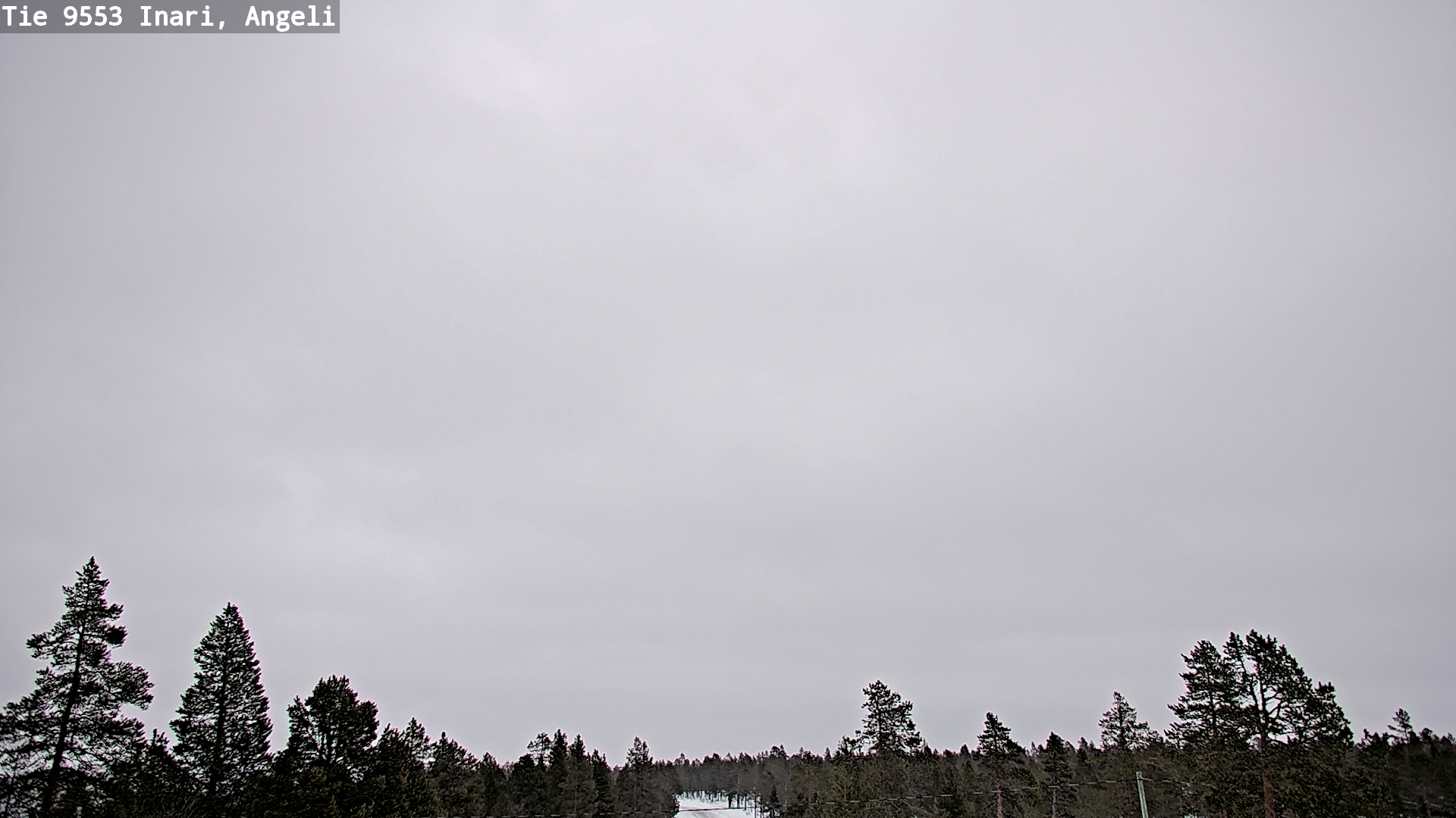 Kelikamerat Kuva Tie 9553 Inari, Angeli, Lintupuolivaara, Inari, Lappi