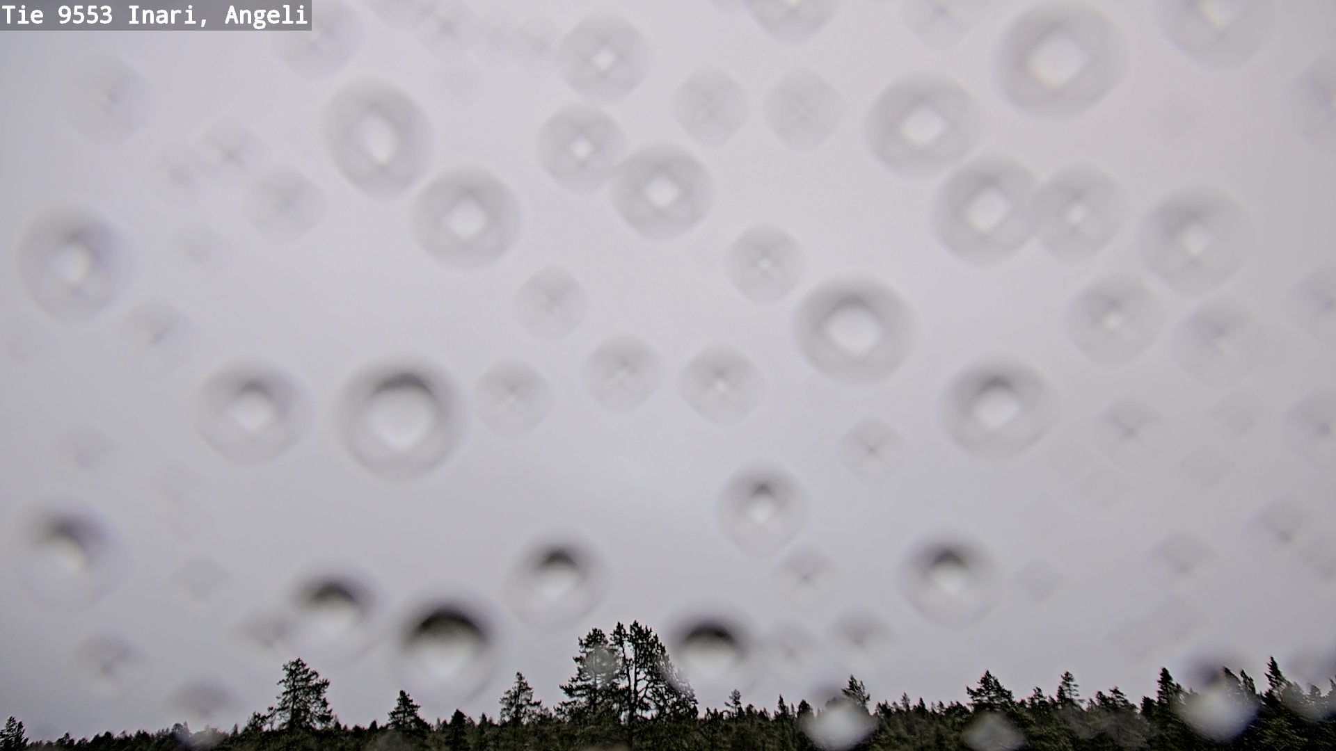 Kelikamerat Kuva Tie 9553 Inari, Angeli, Lintupuolivaara, Inari, Lappi