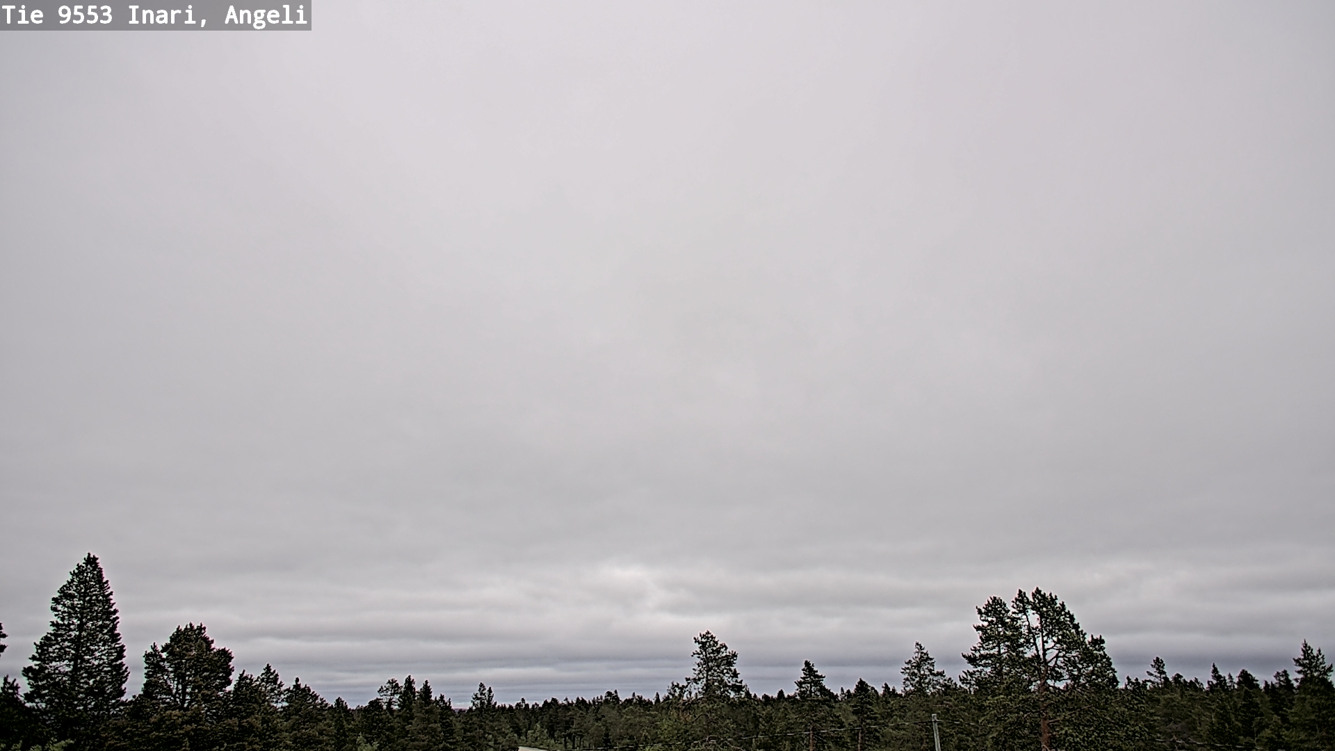 Weather Camera Image Road 9553 Inari, Angeli, Lintupuolivaara, Inari, Lappi