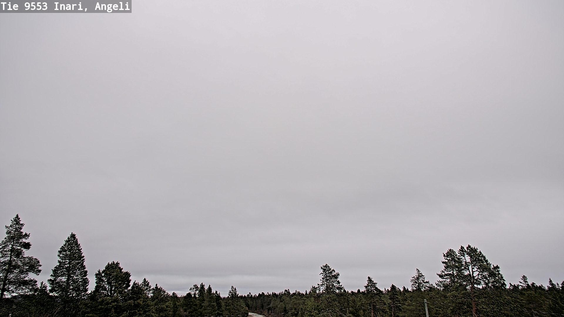 Kelikamerat Kuva Tie 9553 Inari, Angeli, Lintupuolivaara, Inari, Lappi