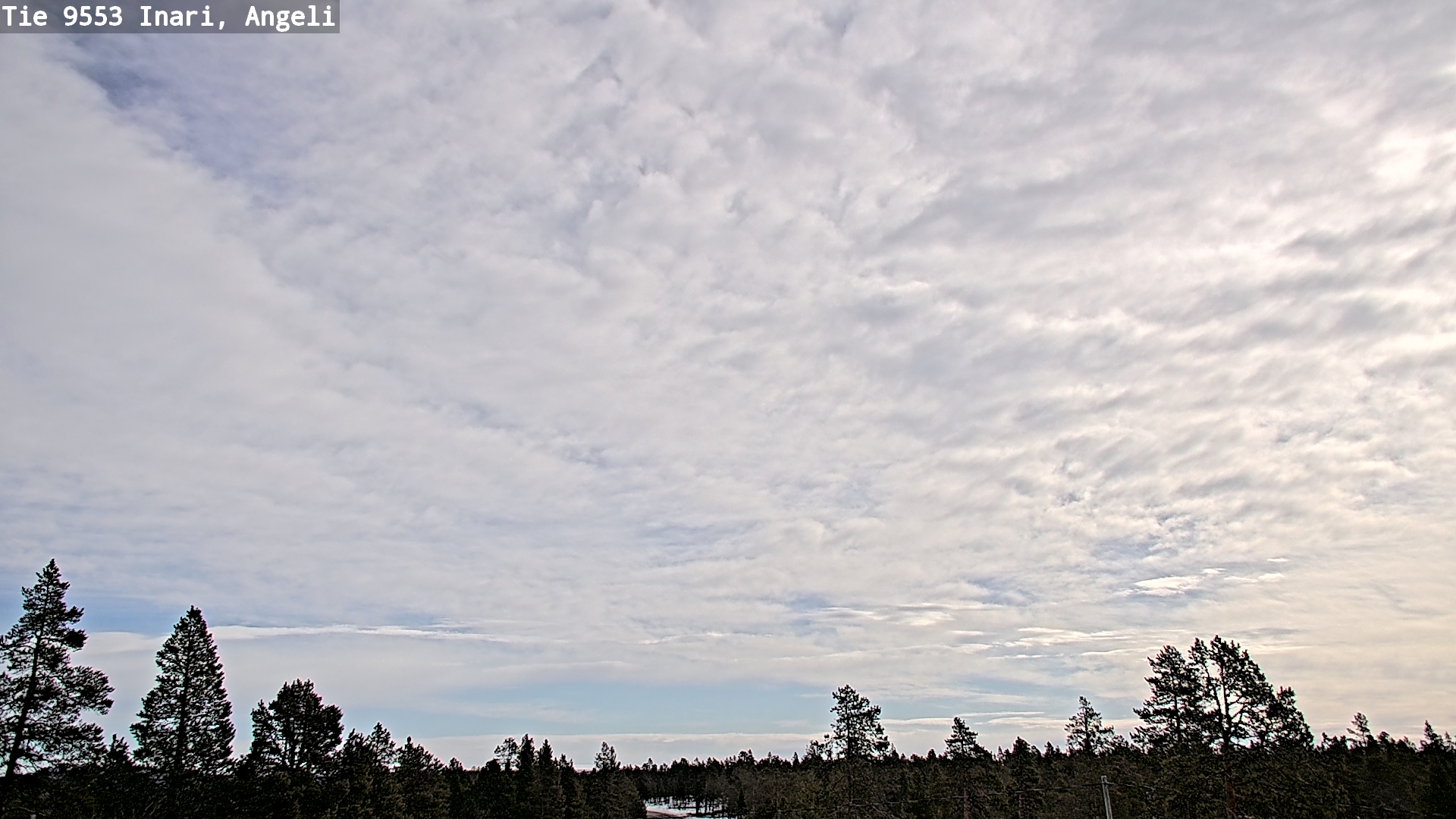 Weather Camera Image Road 9553 Inari, Angeli, Lintupuolivaara, Inari, Lappi