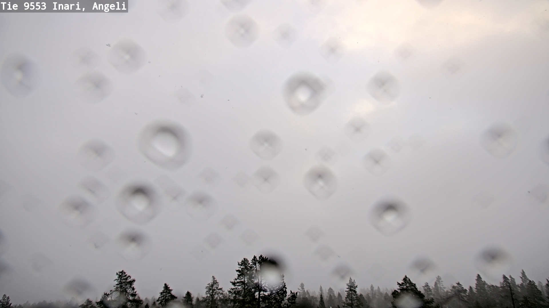 Kelikamerat Kuva Tie 9553 Inari, Angeli, Lintupuolivaara, Inari, Lappi