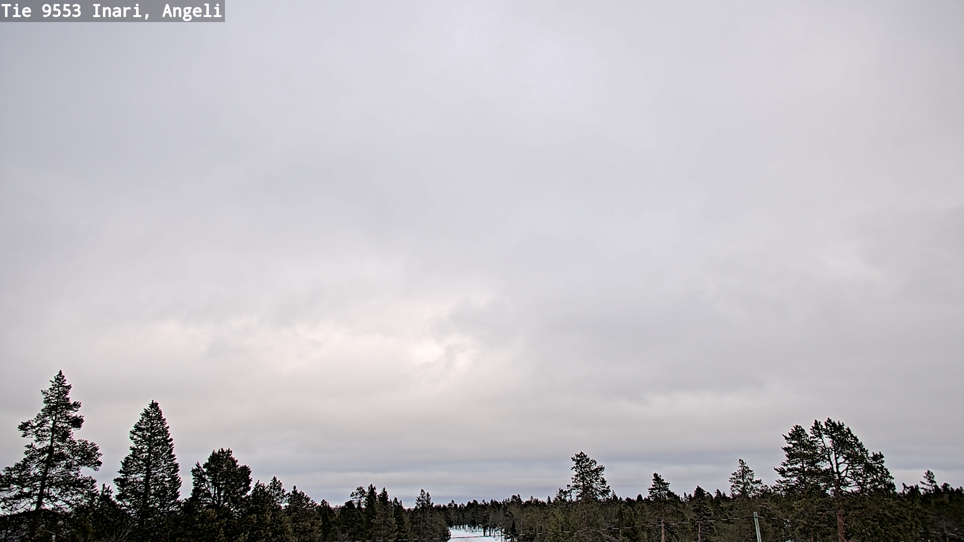 Kelikamerat Kuva Tie 9553 Inari, Angeli, Lintupuolivaara, Inari, Lappi