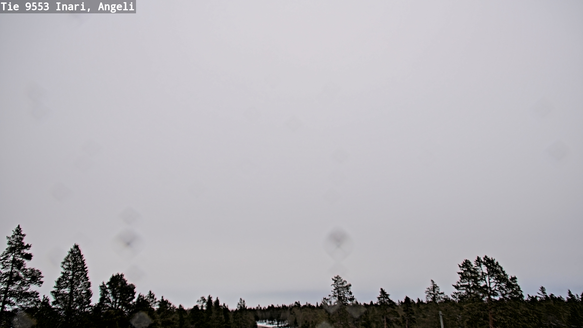Kelikamerat Kuva Tie 9553 Inari, Angeli, Lintupuolivaara, Inari, Lappi