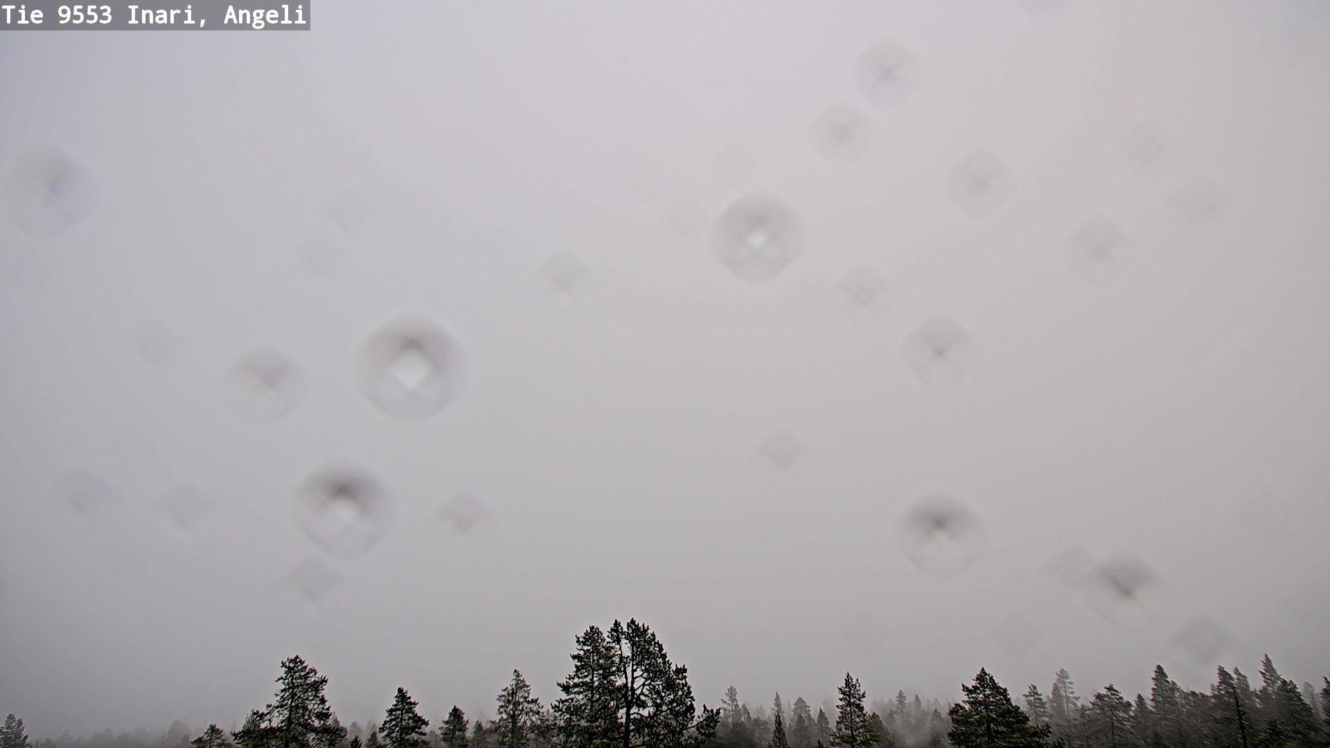 Kelikamerat Kuva Tie 9553 Inari, Angeli, Lintupuolivaara, Inari, Lappi