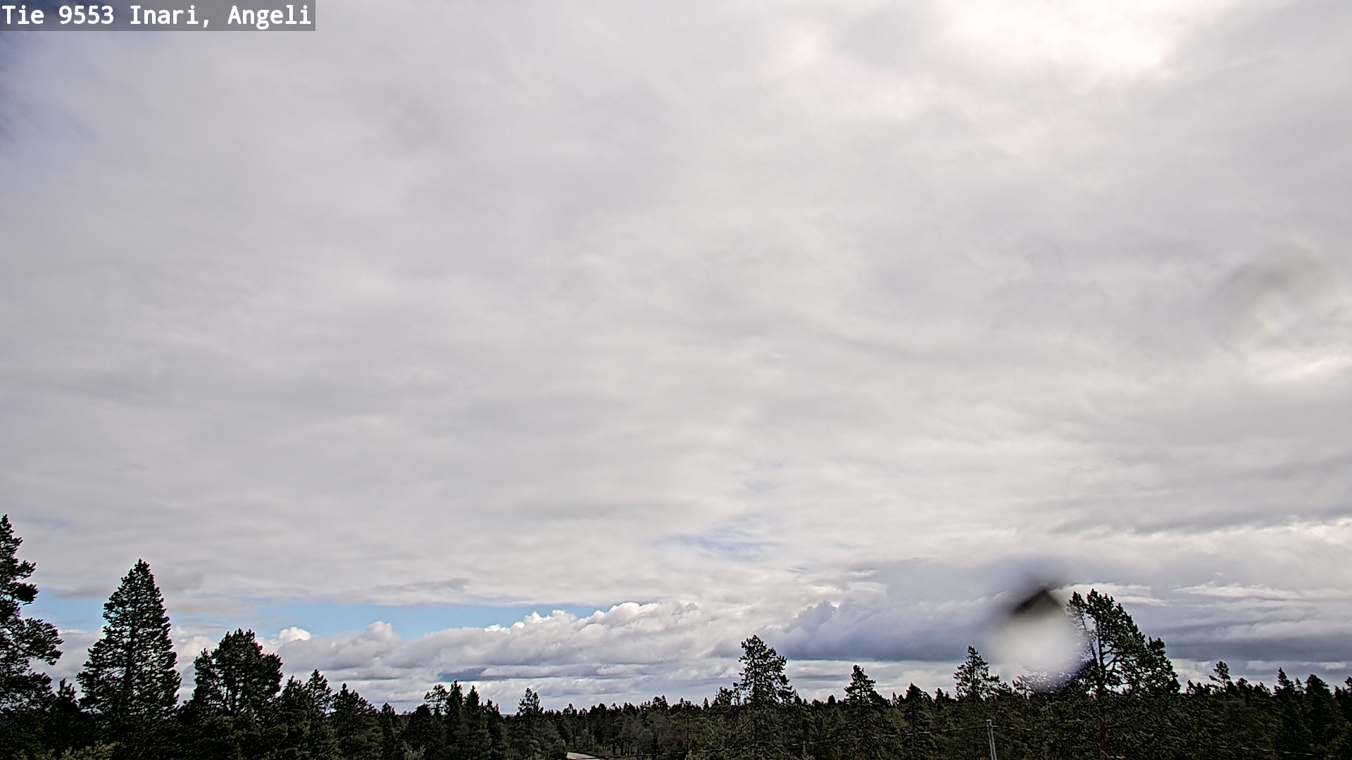 Weather Camera Image Road 9553 Inari, Angeli, Lintupuolivaara, Inari, Lappi