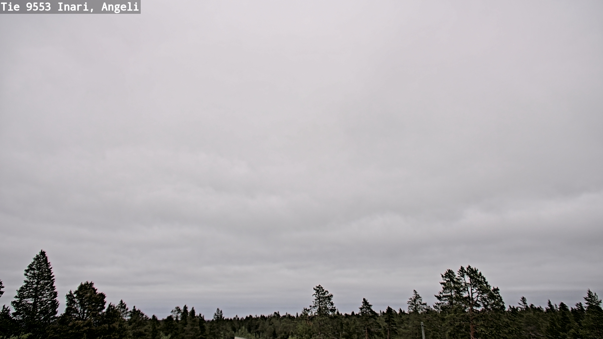 Weather Camera Image Road 9553 Inari, Angeli, Lintupuolivaara, Inari, Lappi