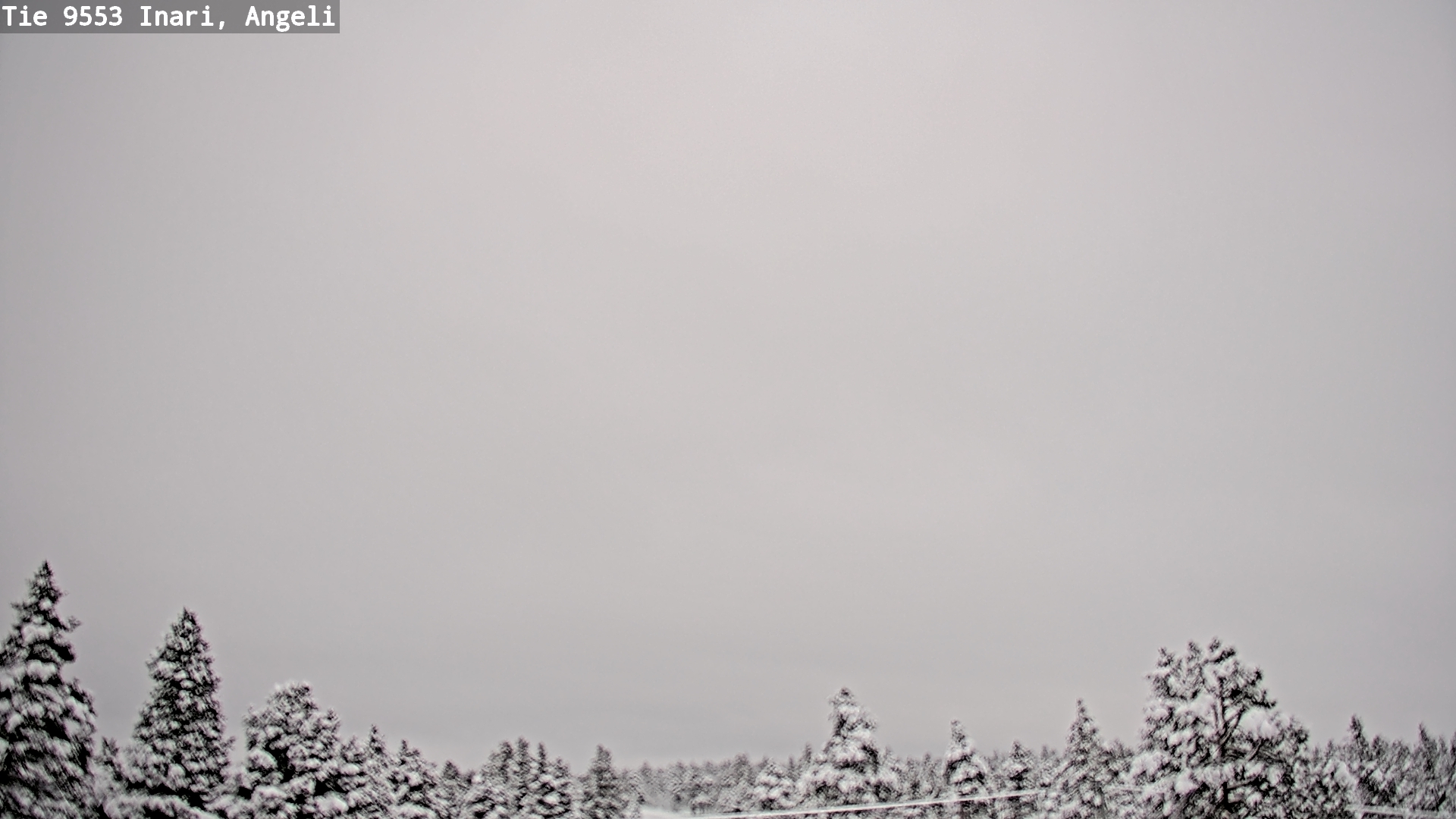 Kelikamerat Kuva Tie 9553 Inari, Angeli, Lintupuolivaara, Inari, Lappi