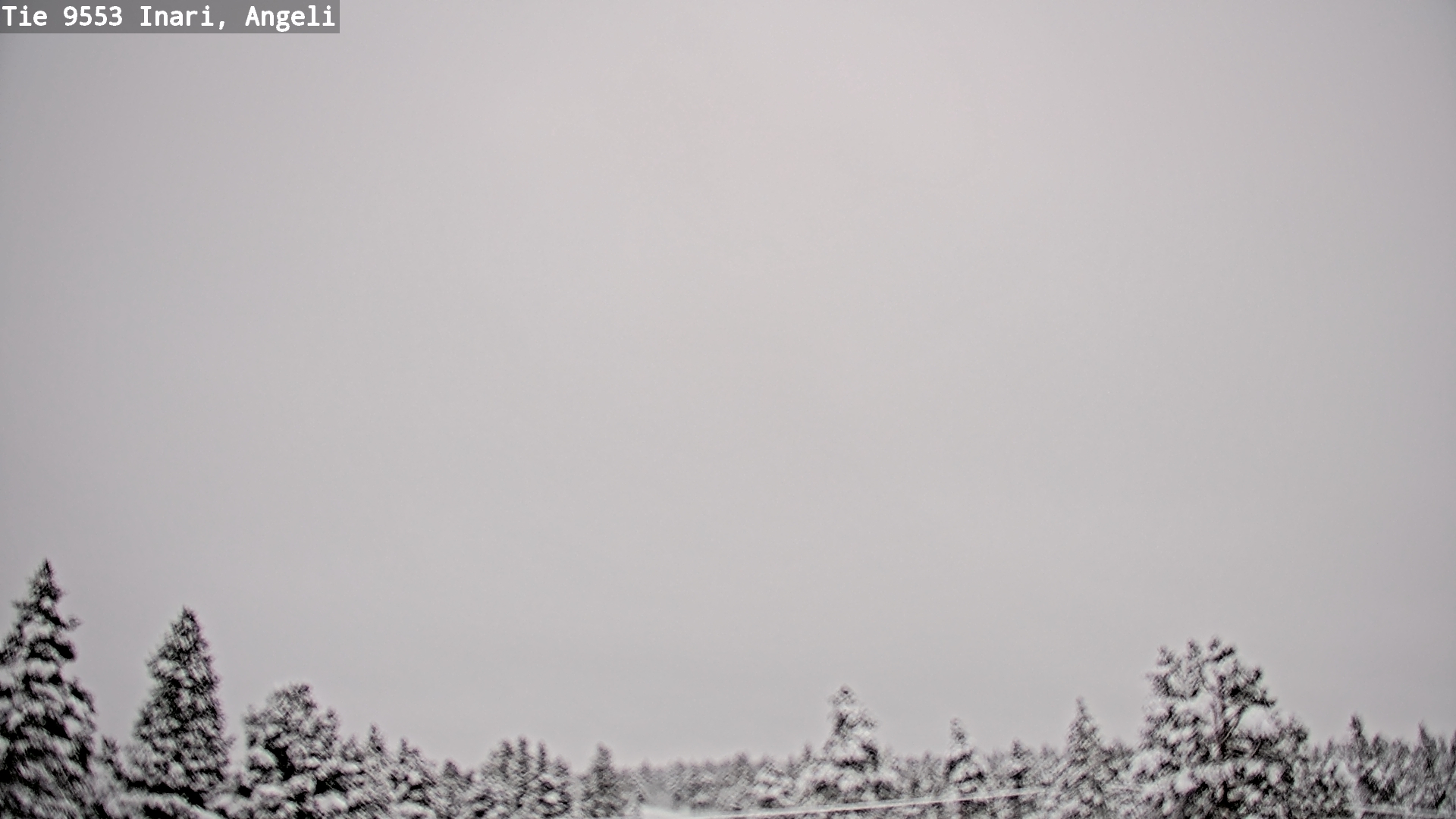 Kelikamerat Kuva Tie 9553 Inari, Angeli, Lintupuolivaara, Inari, Lappi