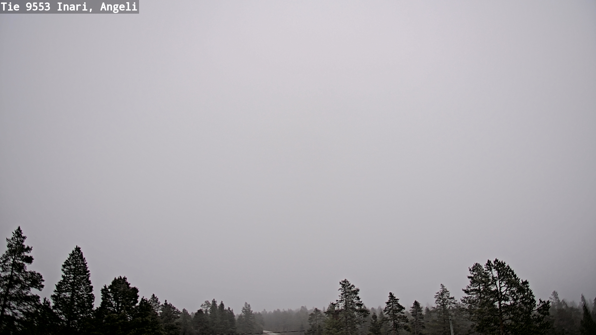 Kelikamerat Kuva Tie 9553 Inari, Angeli, Lintupuolivaara, Inari, Lappi