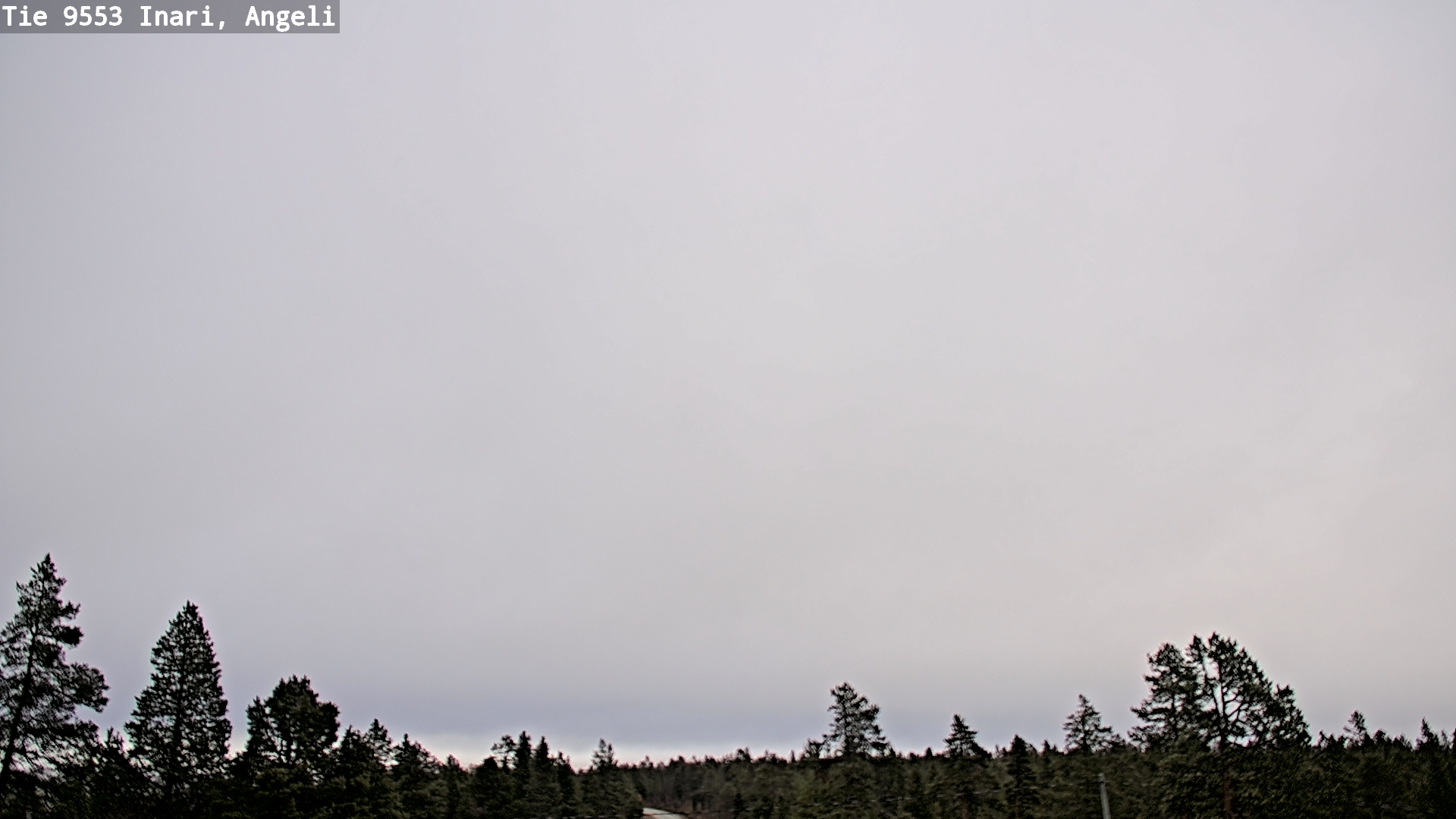 Weather Camera Image Road 9553 Inari, Angeli, Lintupuolivaara, Inari, Lappi