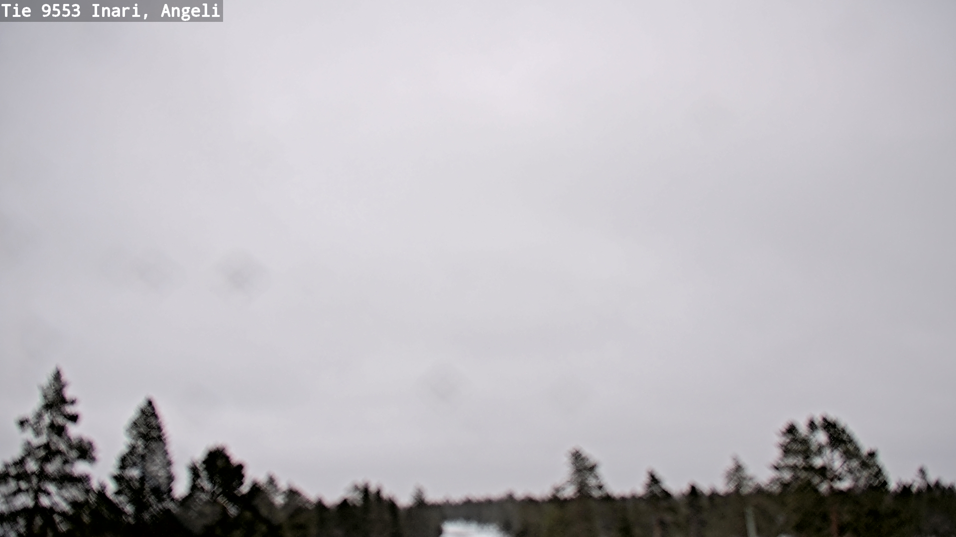 Kelikamerat Kuva Tie 9553 Inari, Angeli, Lintupuolivaara, Inari, Lappi