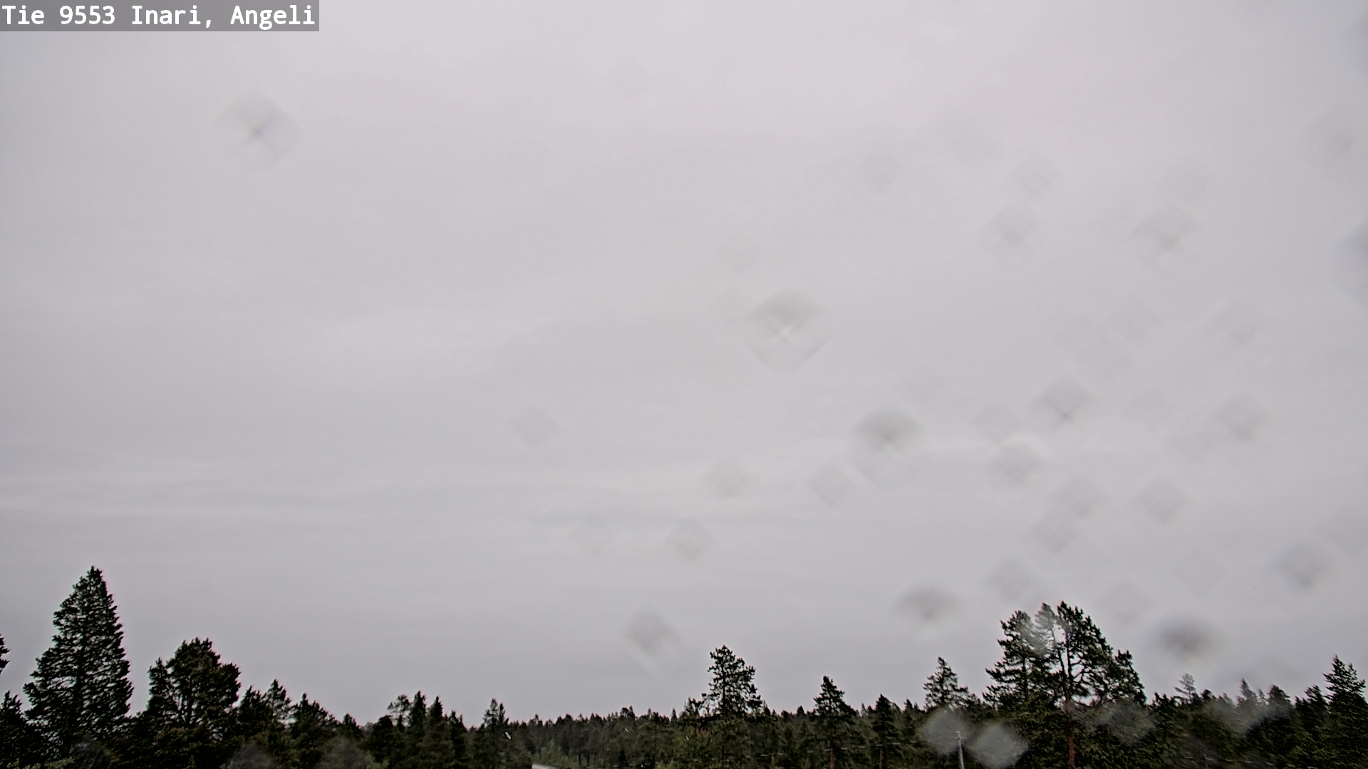 Weather Camera Image Road 9553 Inari, Angeli, Lintupuolivaara, Inari, Lappi