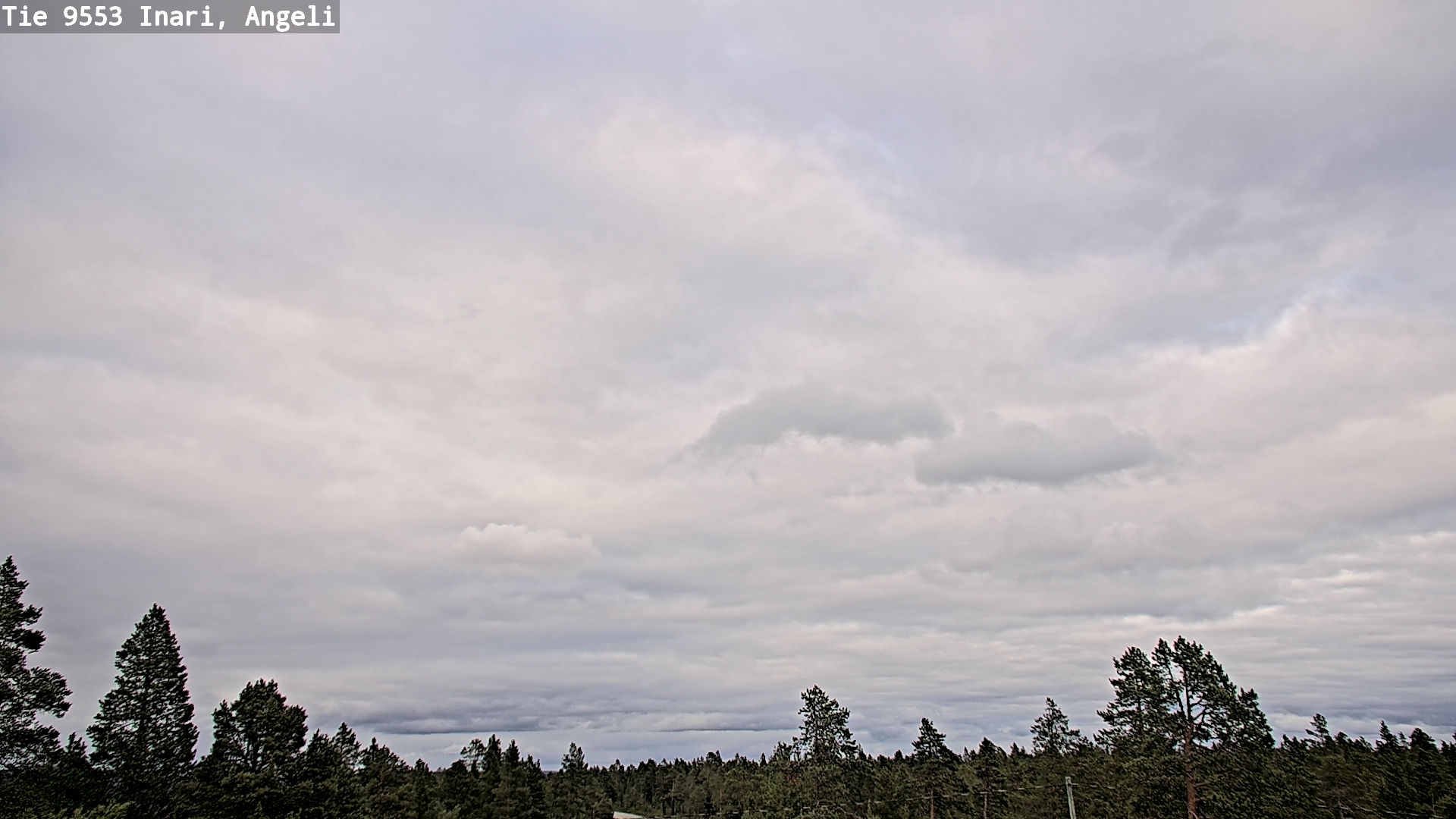 Kelikamerat Kuva Tie 9553 Inari, Angeli, Lintupuolivaara, Inari, Lappi