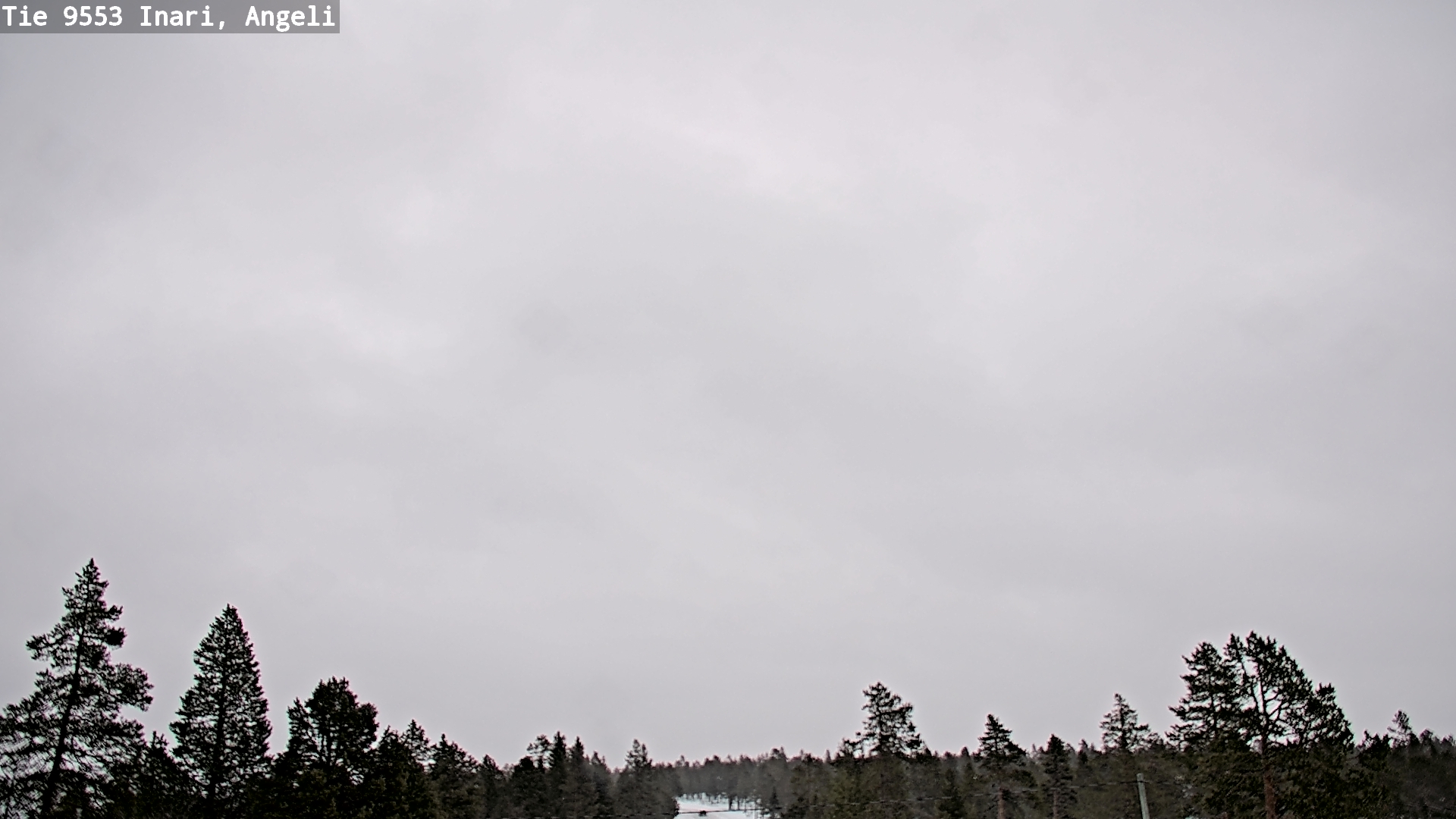 Kelikamerat Kuva Tie 9553 Inari, Angeli, Lintupuolivaara, Inari, Lappi