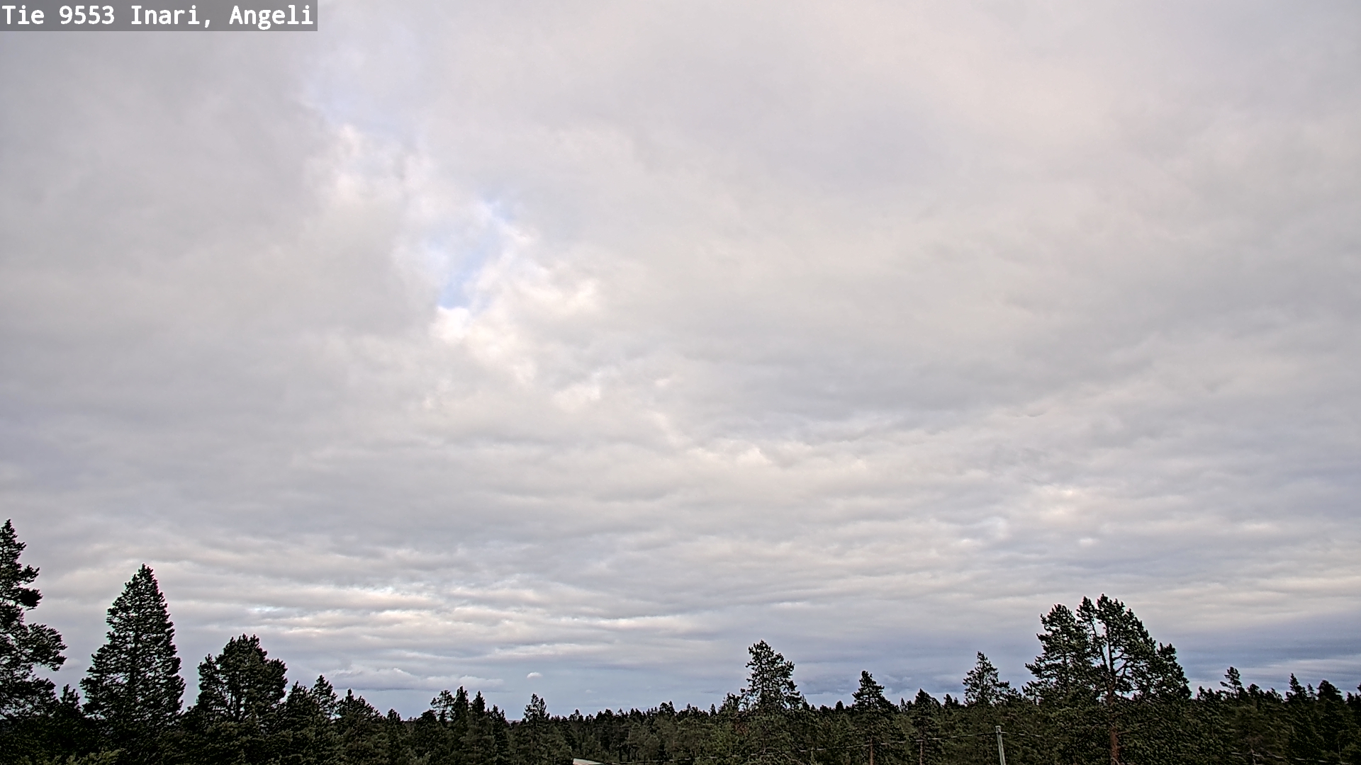 Kelikamerat Kuva Tie 9553 Inari, Angeli, Lintupuolivaara, Inari, Lappi