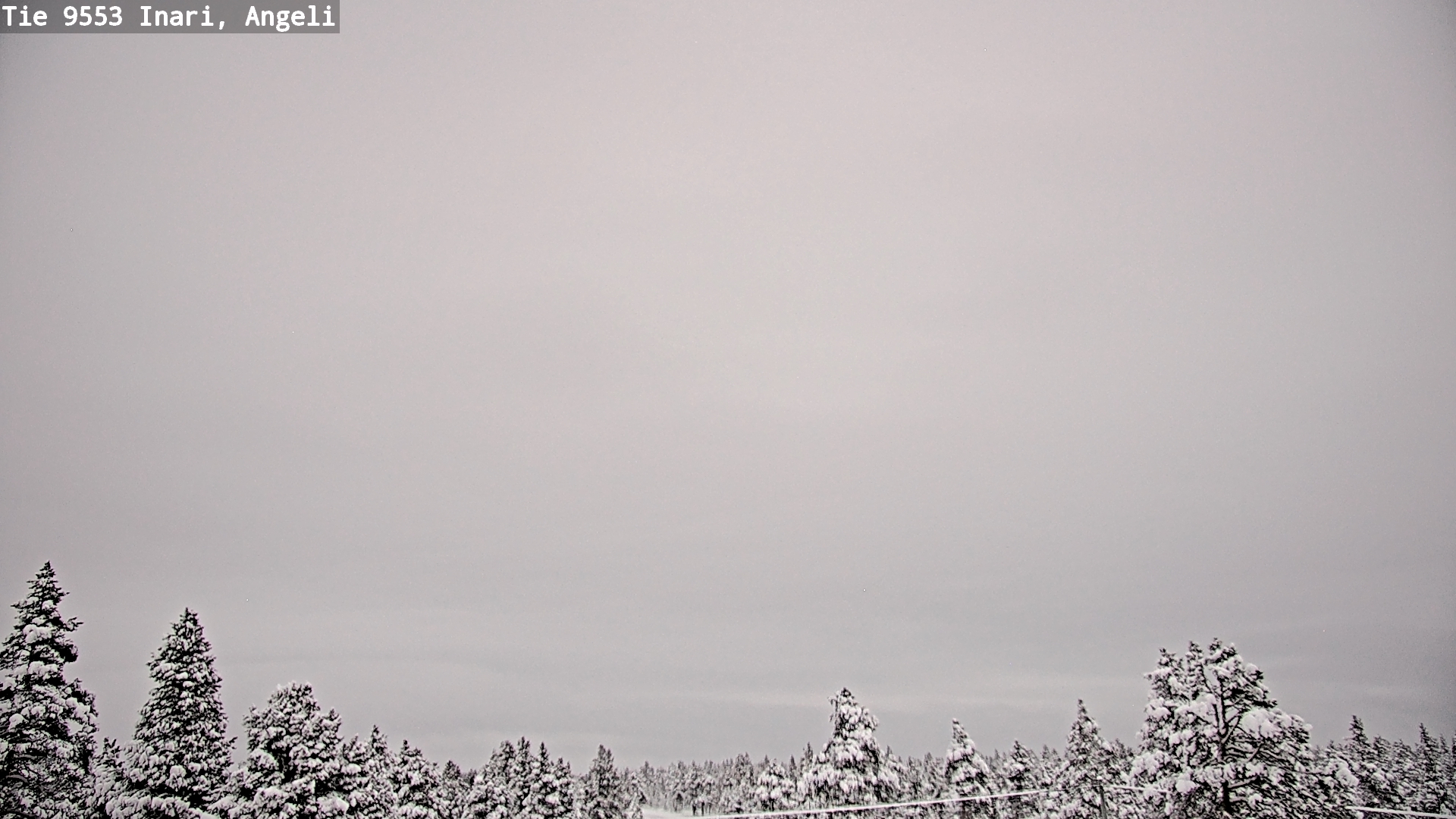Weather Camera Image Road 9553 Inari, Angeli, Lintupuolivaara, Inari, Lappi