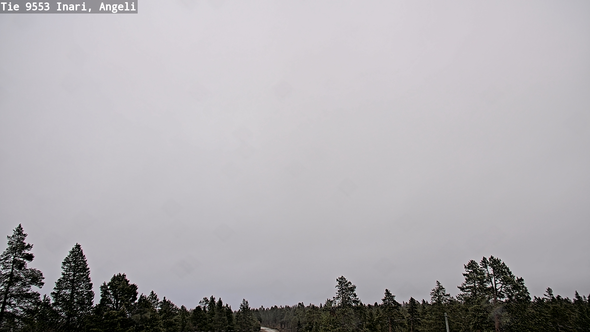Weather Camera Image Road 9553 Inari, Angeli, Lintupuolivaara, Inari, Lappi