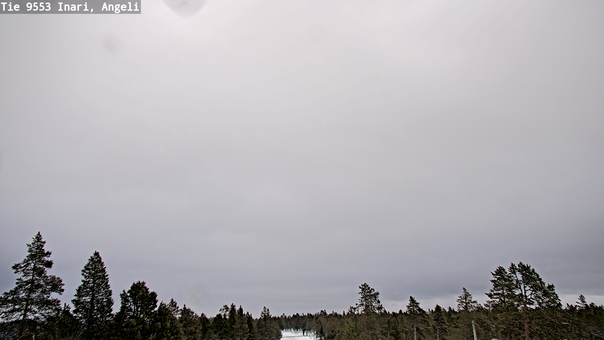 Kelikamerat Kuva Tie 9553 Inari, Angeli, Lintupuolivaara, Inari, Lappi